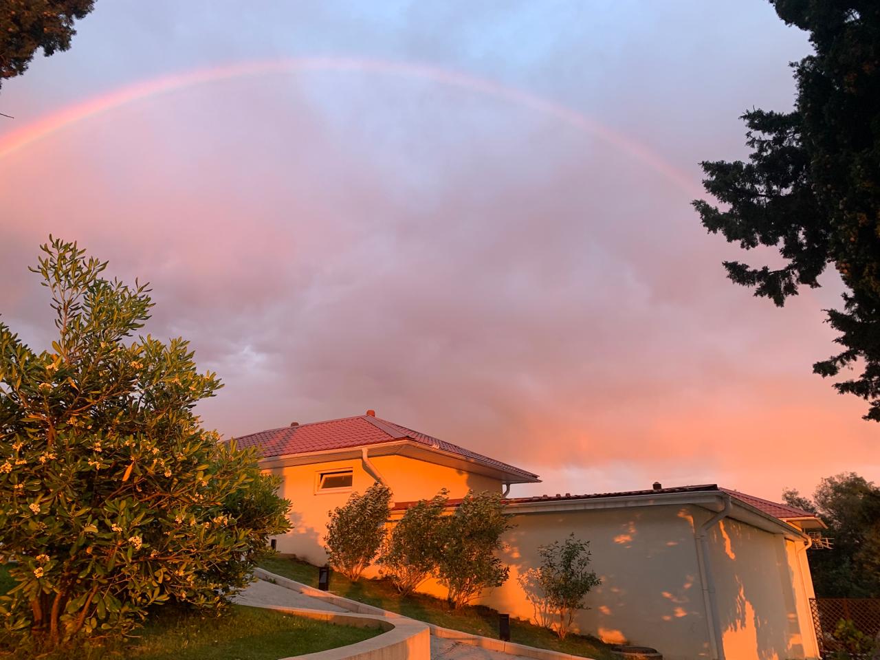 Фото 7 Кипарисов