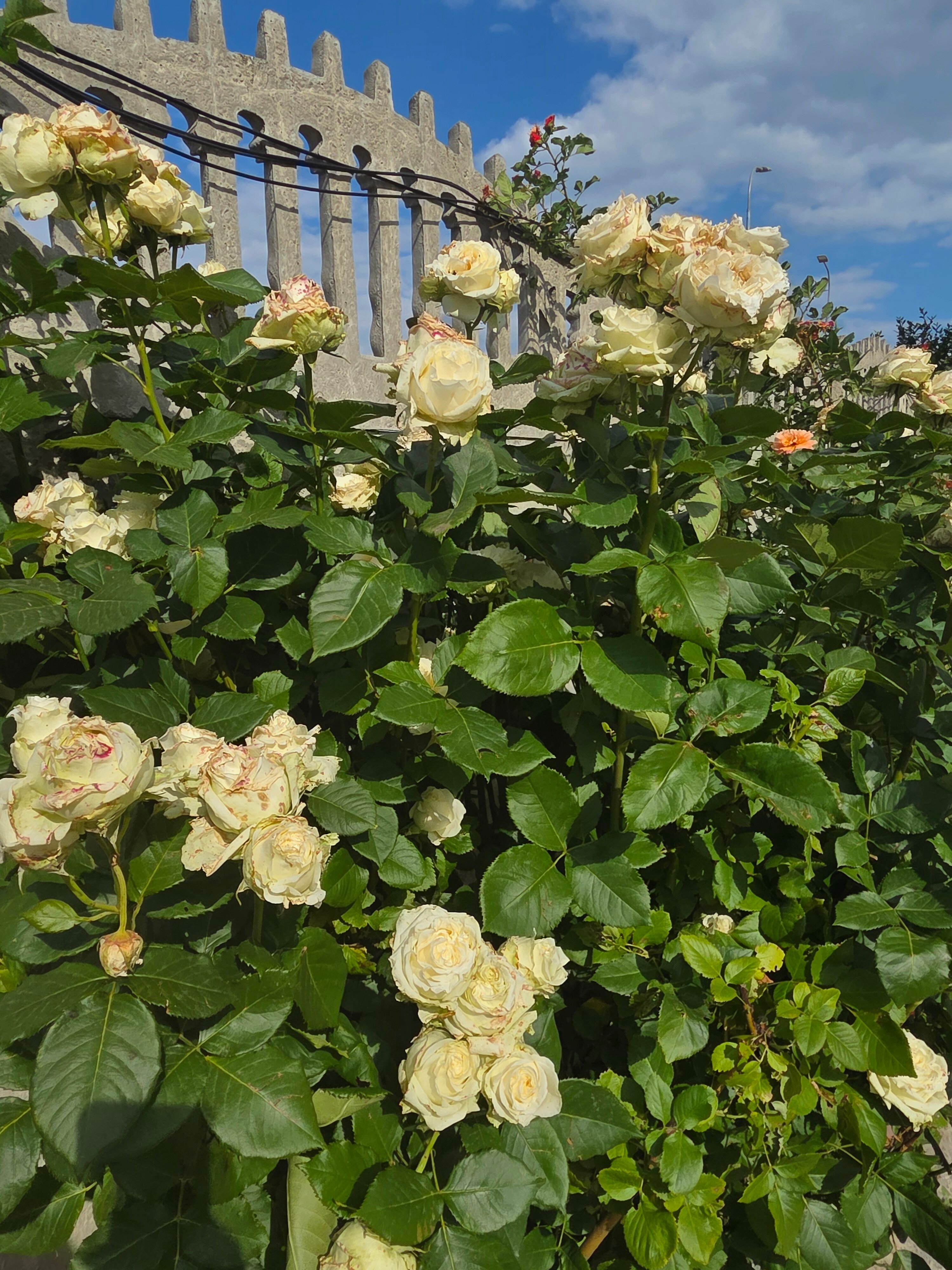 Фото Дом у моря