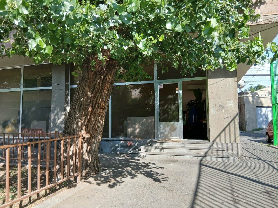 Organization of children events Dzmeruk, Yerevan, photo