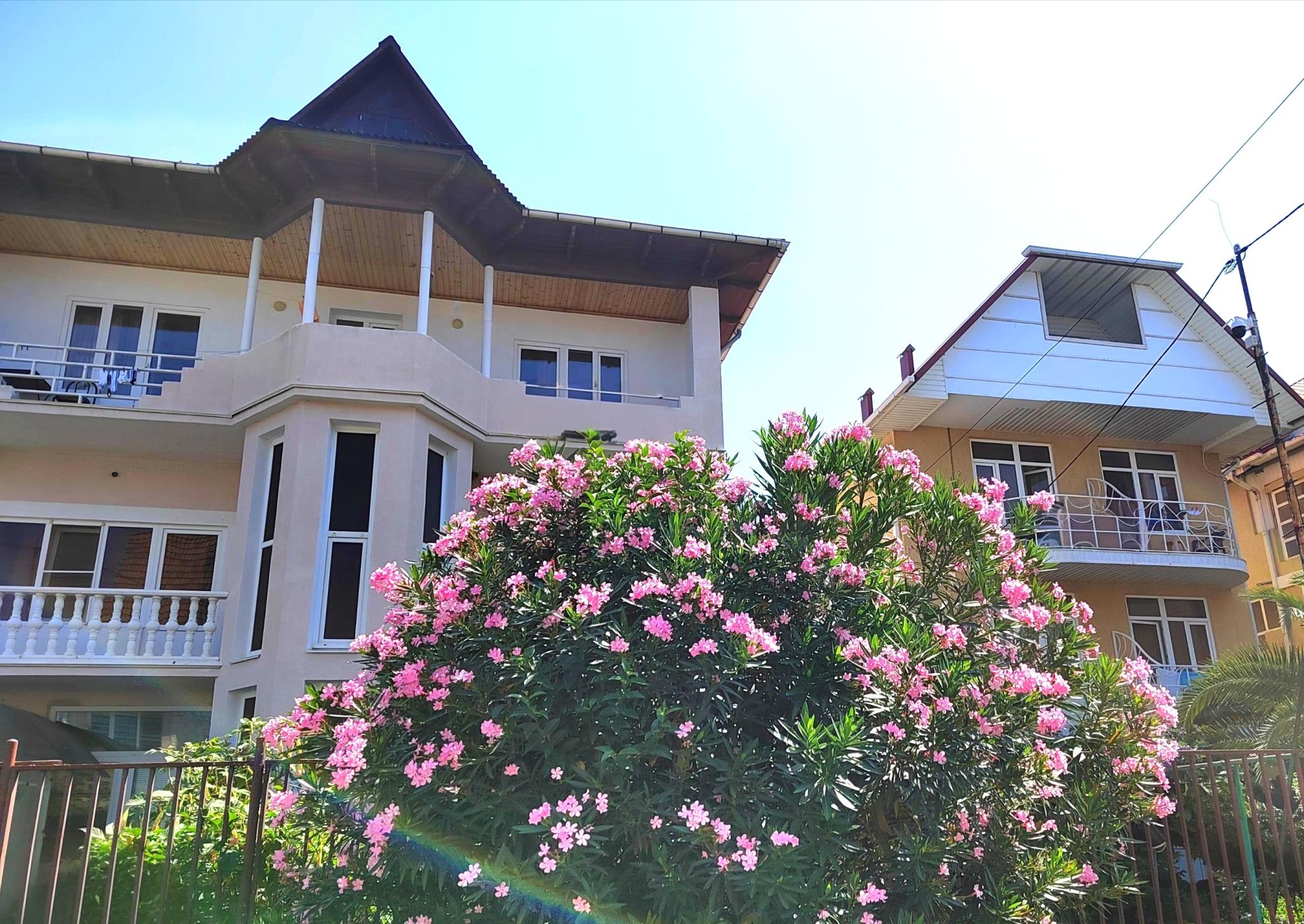 Фото Жемчуг