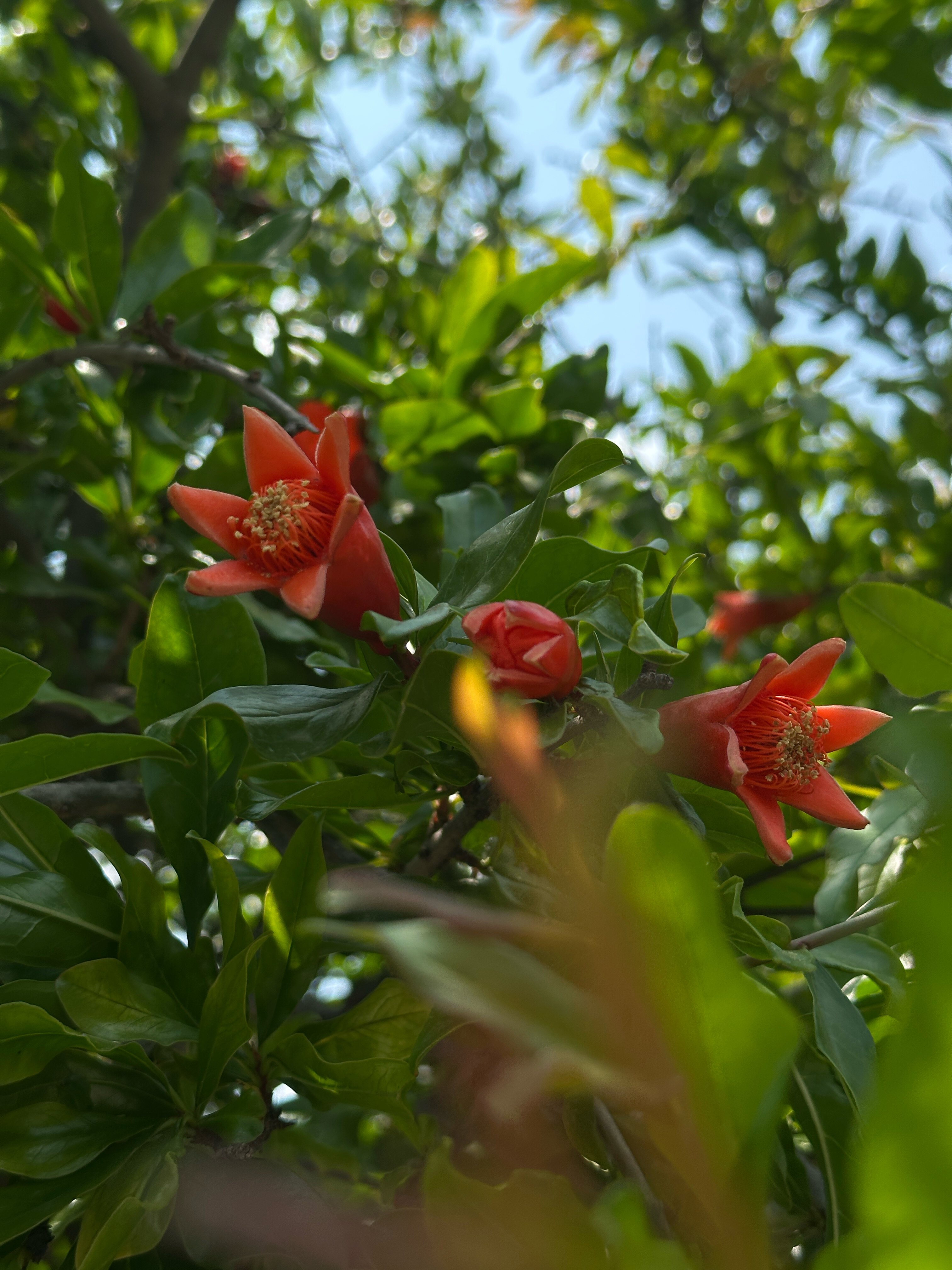 Фото У Марселя