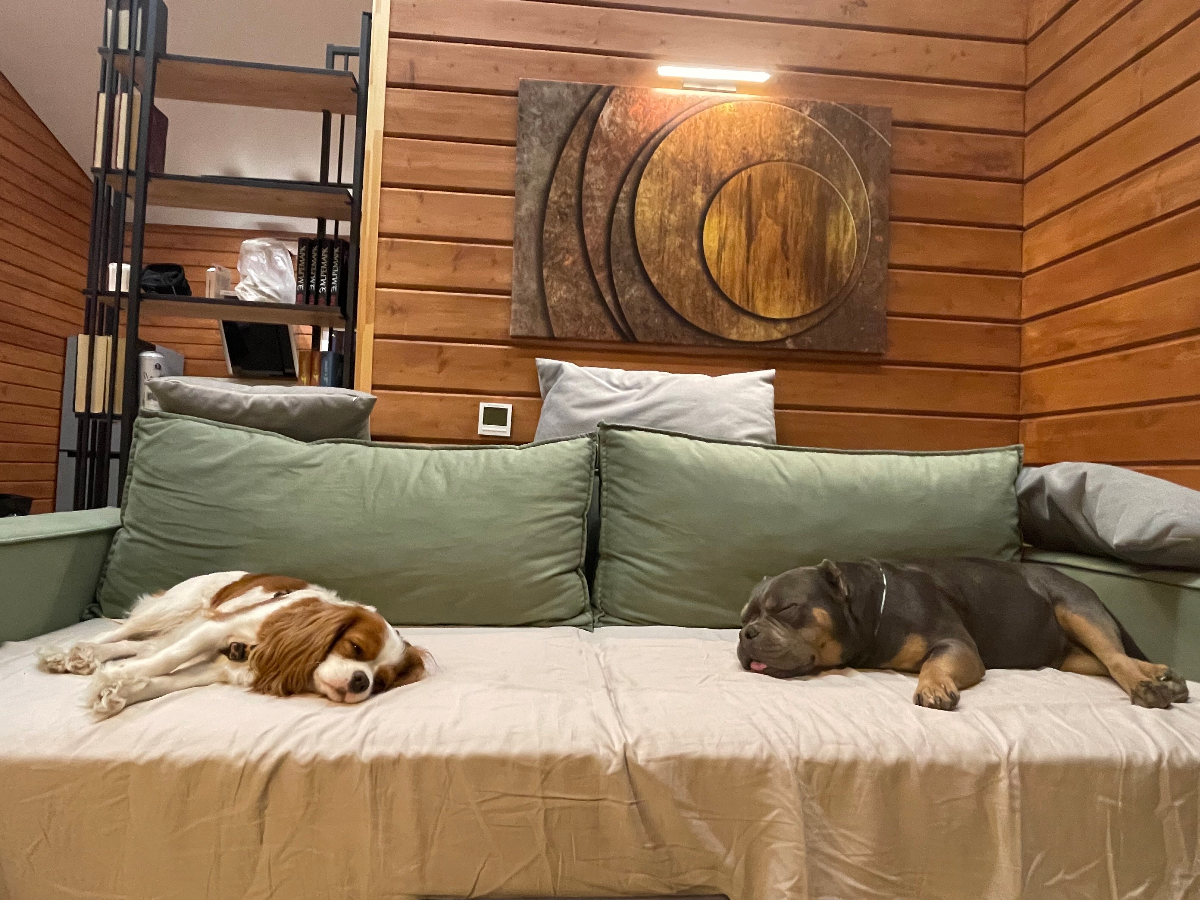 Фото Karjala house