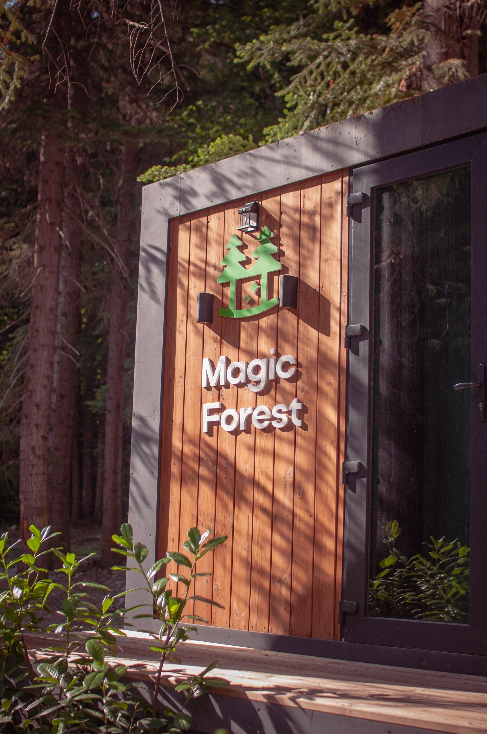 Фото Magic Forest