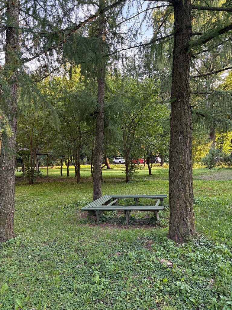 Playground Playground, Moscow and Moscow Oblast, photo