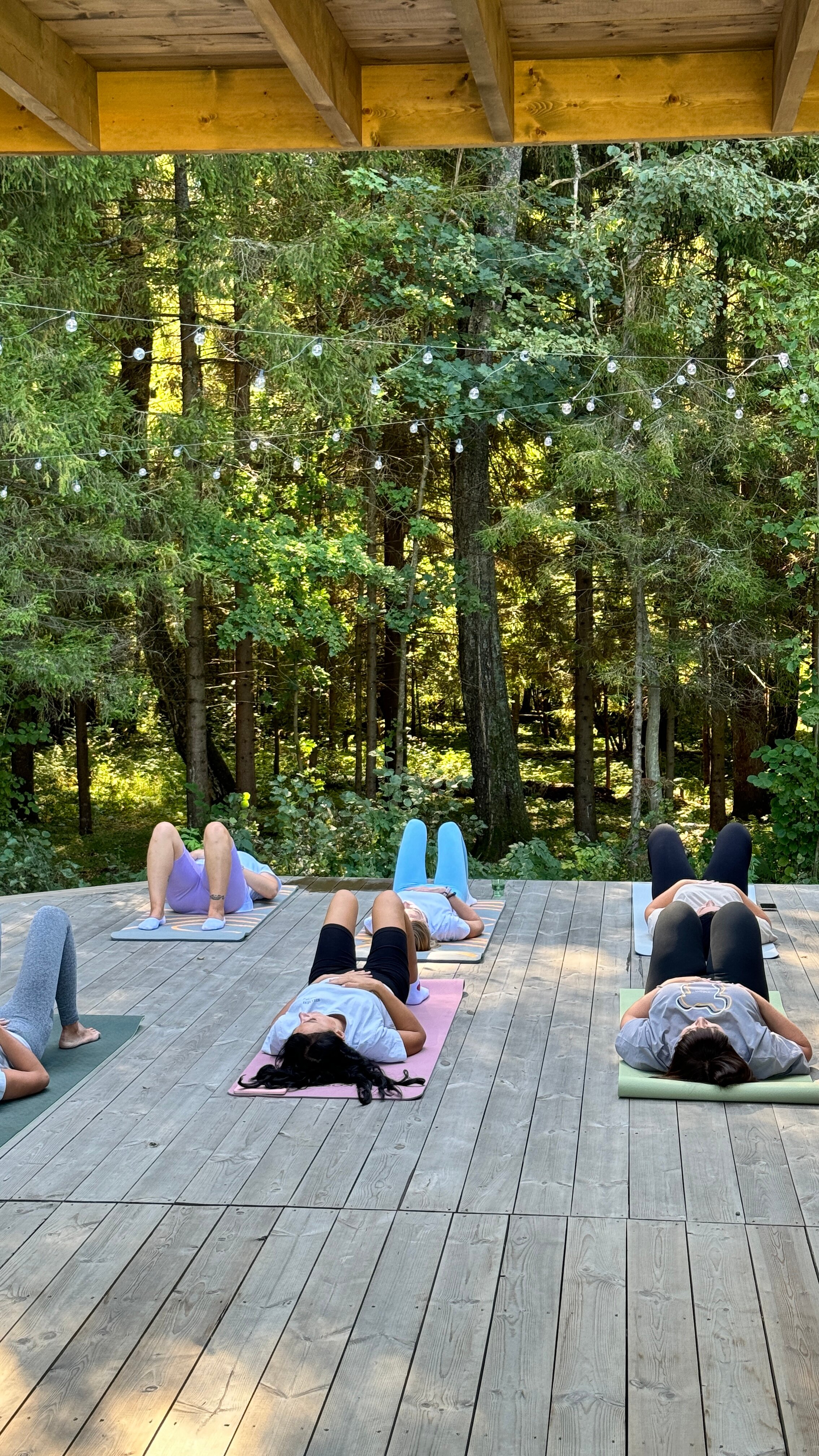 Фото Лесной Викенд