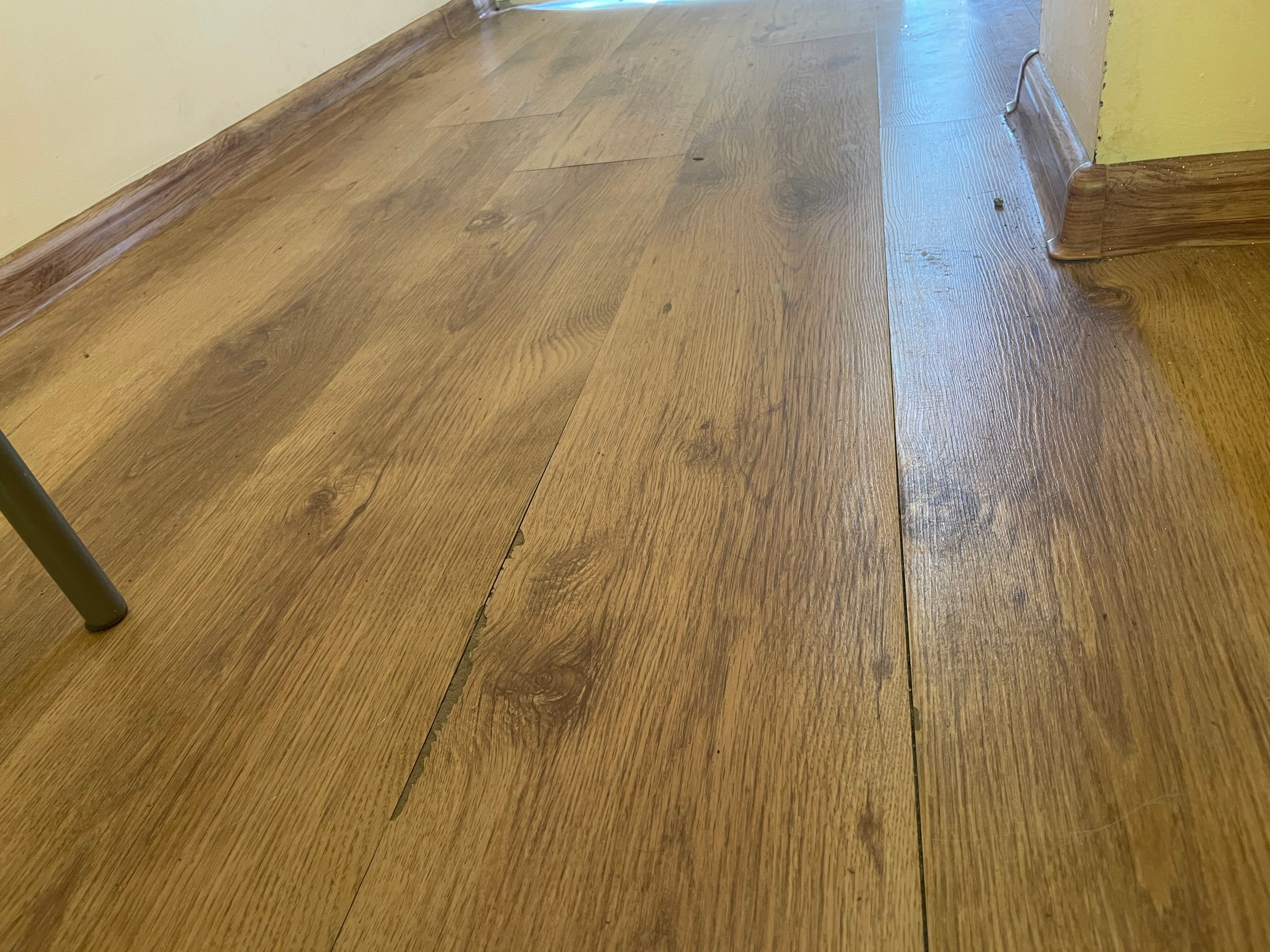 Фото Белая Панама