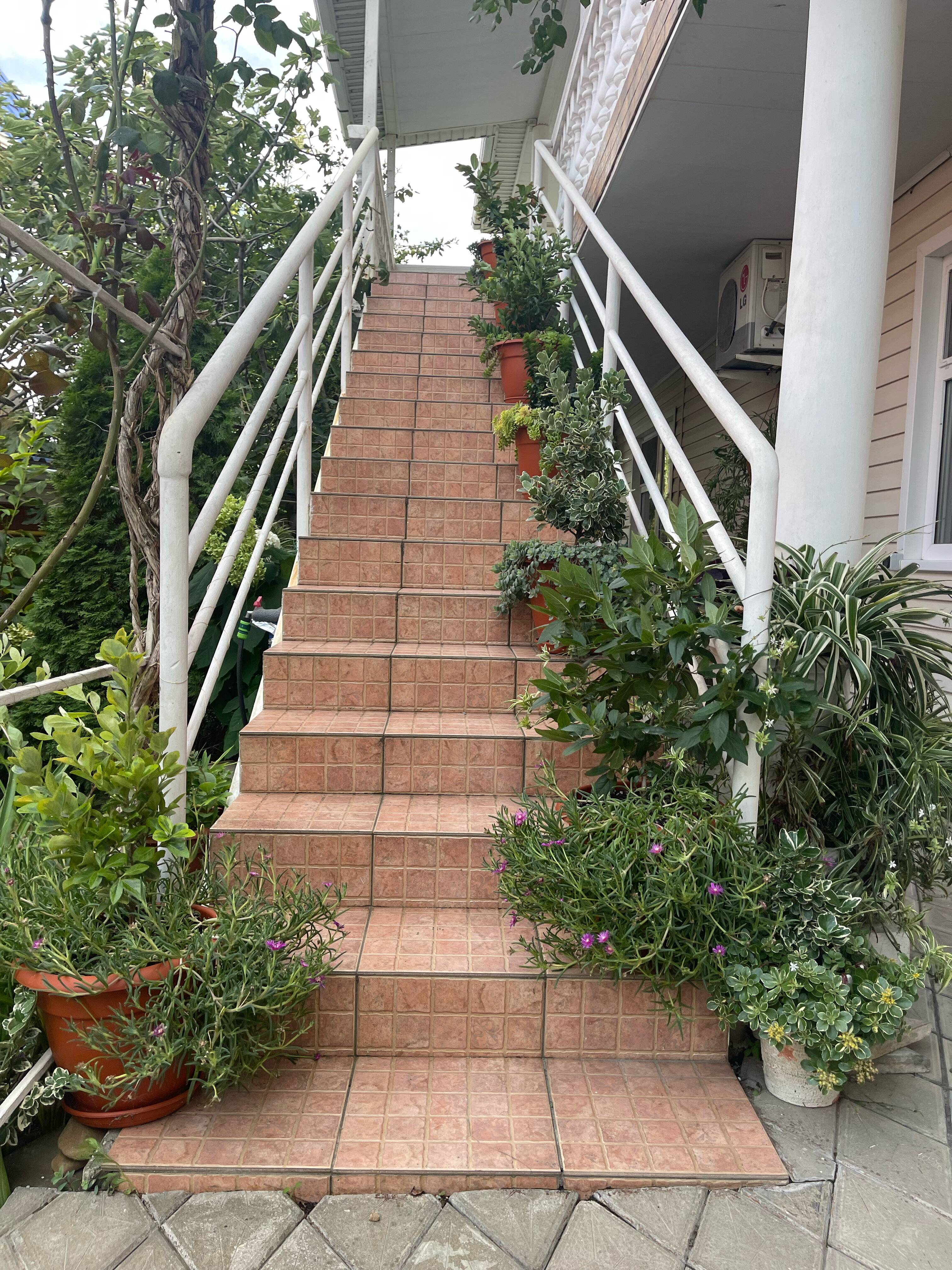 Фото Фэмили