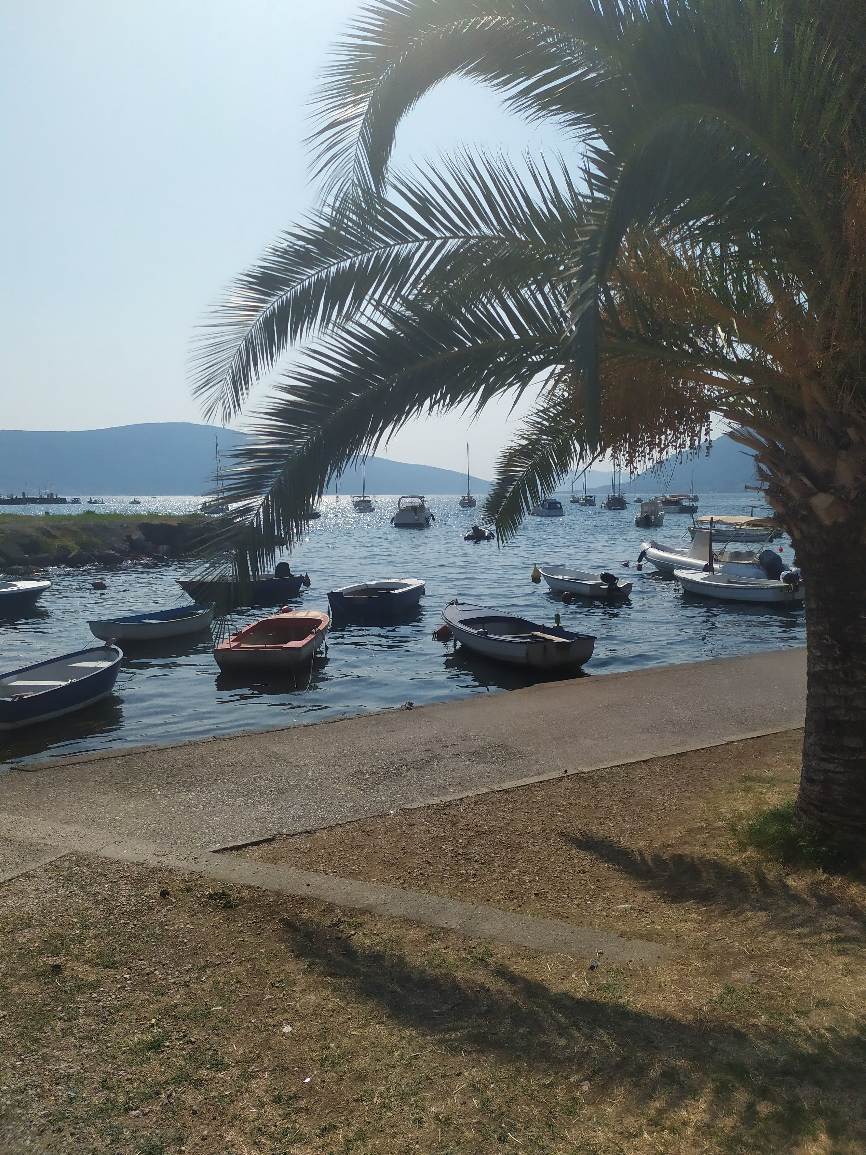 Фото D&D Apartments Tivat