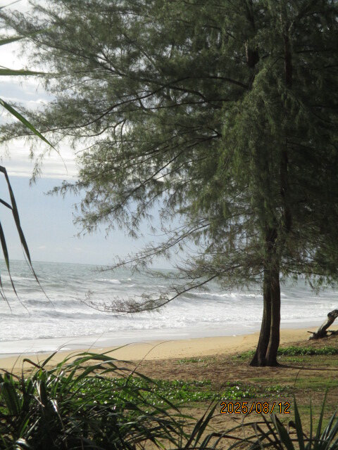 Фото Melia Phuket Mai Khao