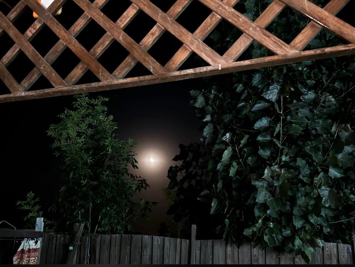 Фото Жемчужина Каспия