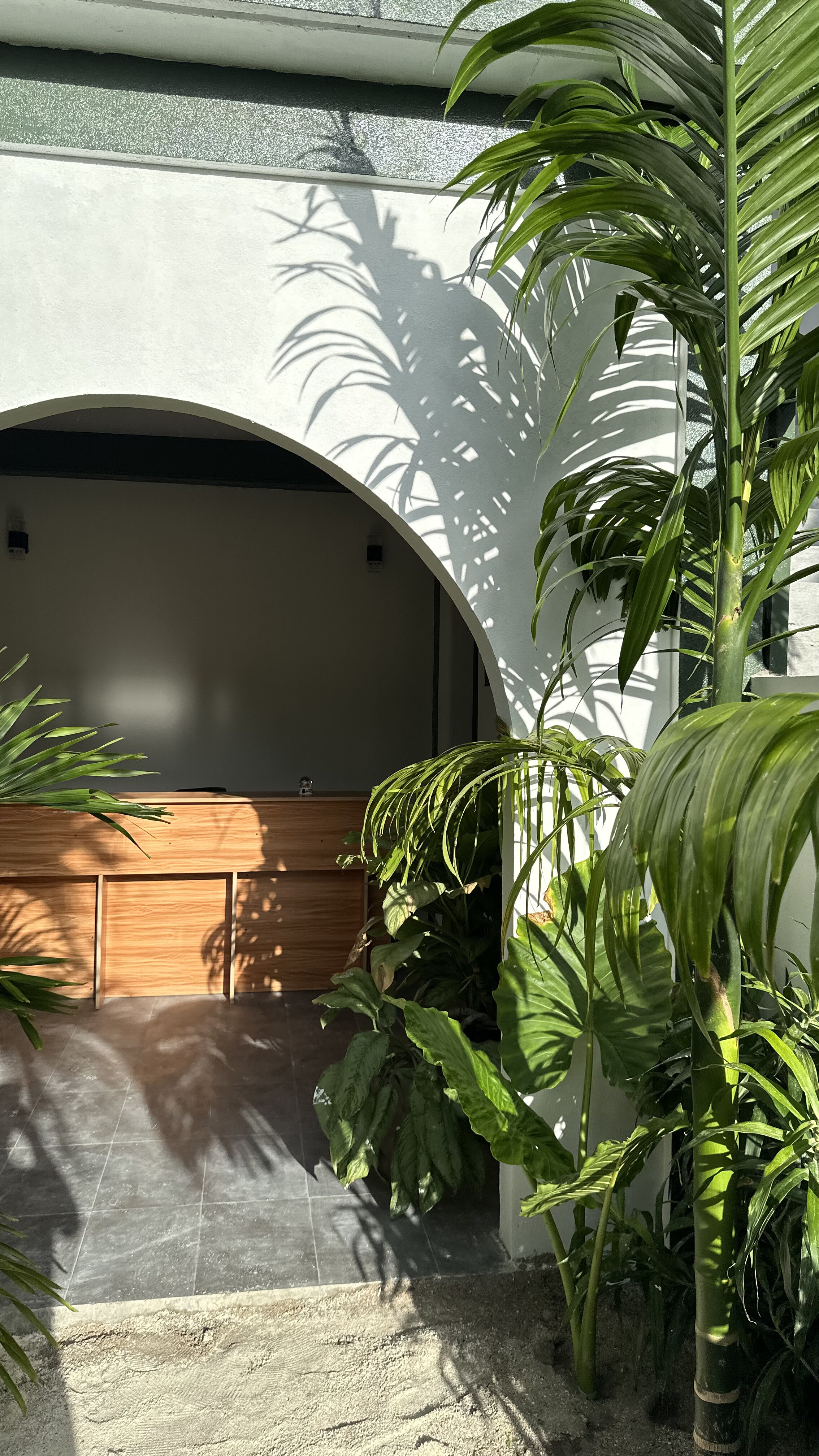 Фото Dacha Thoddoo White Sand