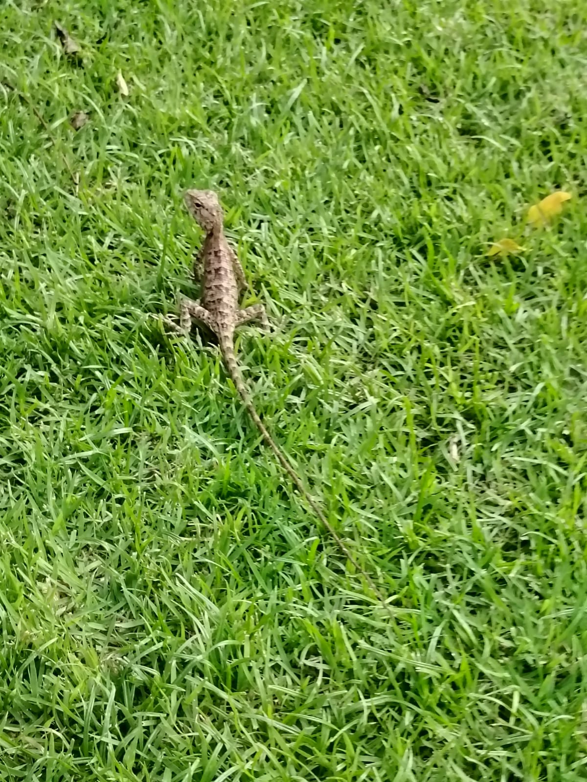 Фото Hua Hin Marriott Resort and Spa