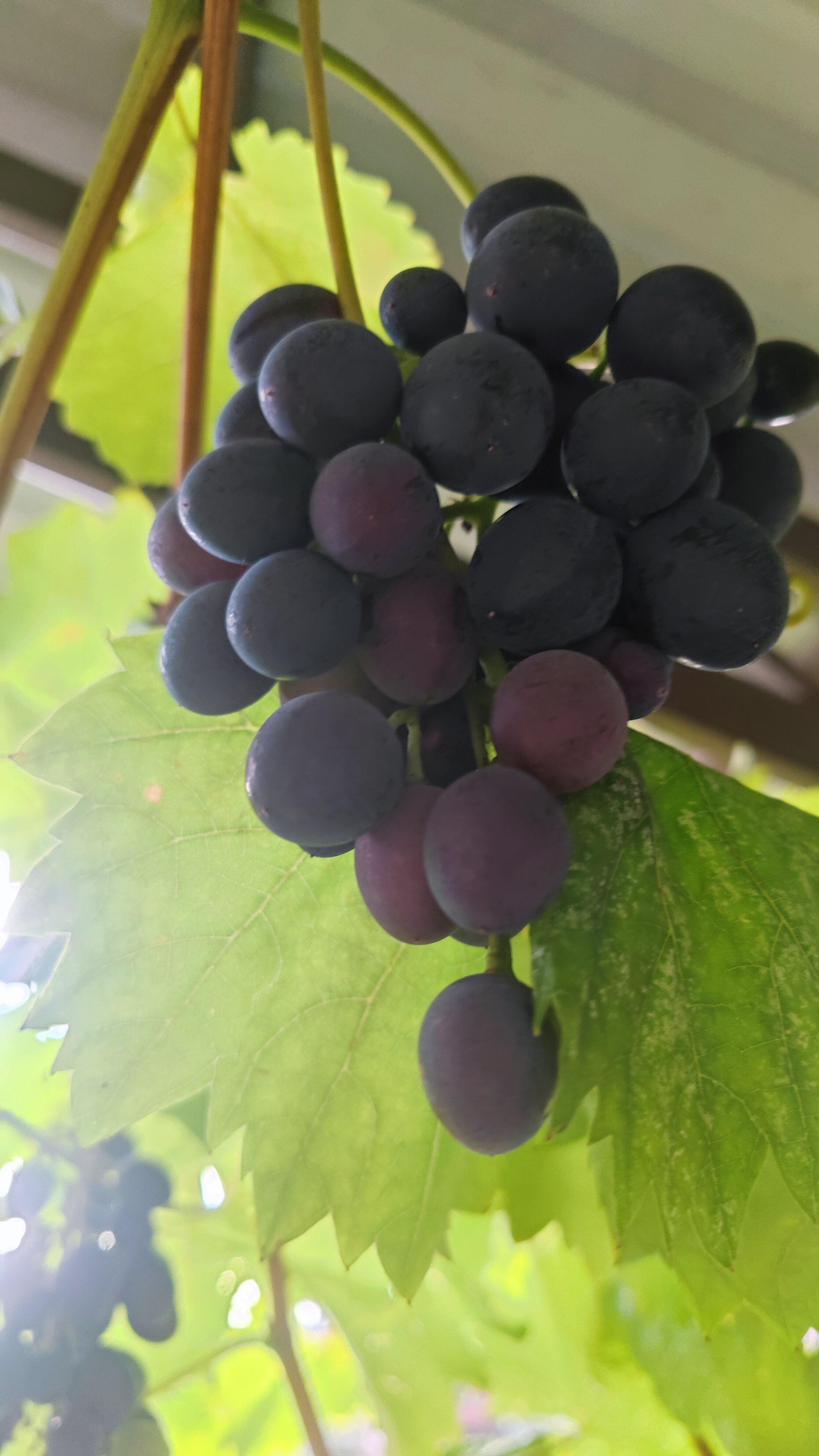 Фото Гостевой дом у Руслана