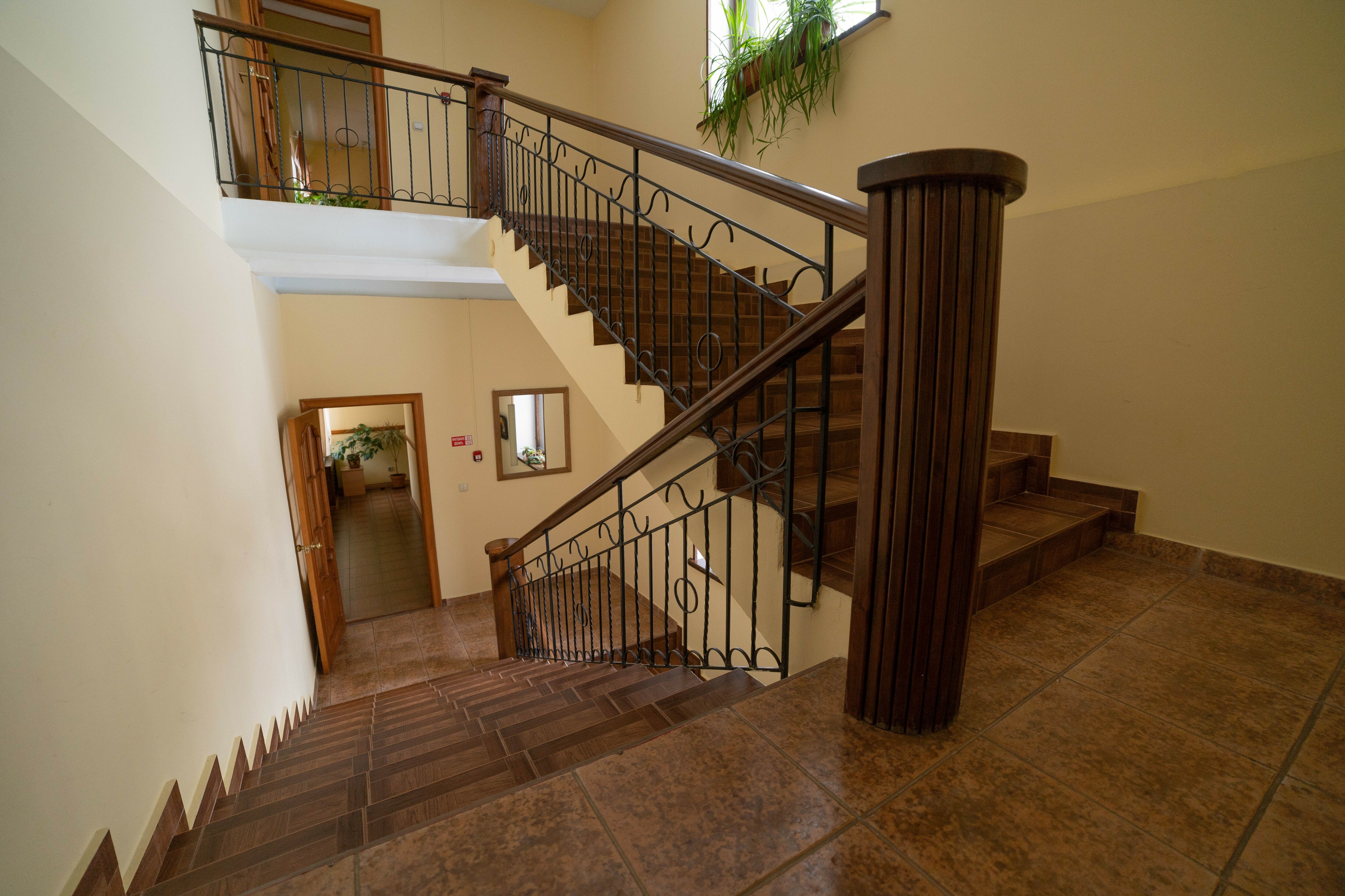 Фото Гризли