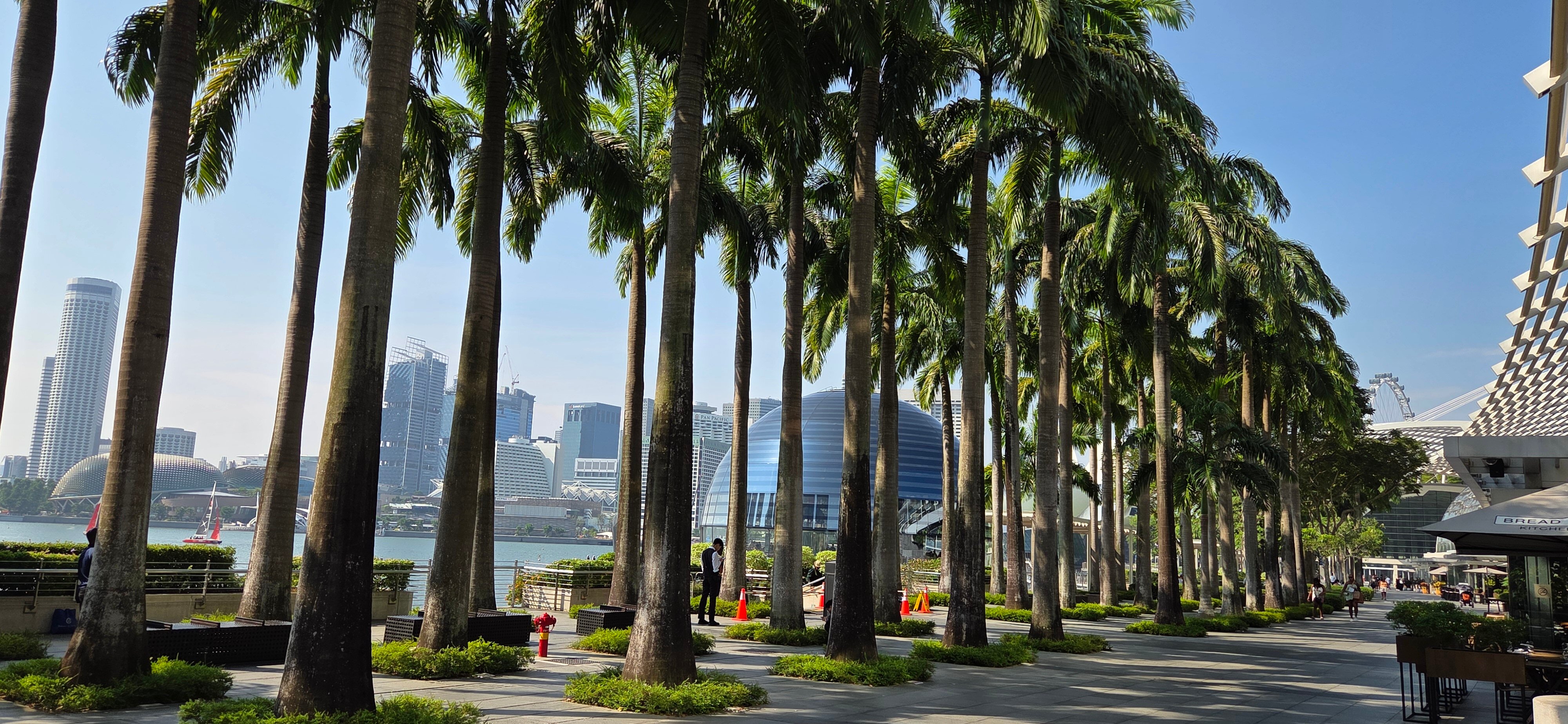 Фото Marina Bay Sands