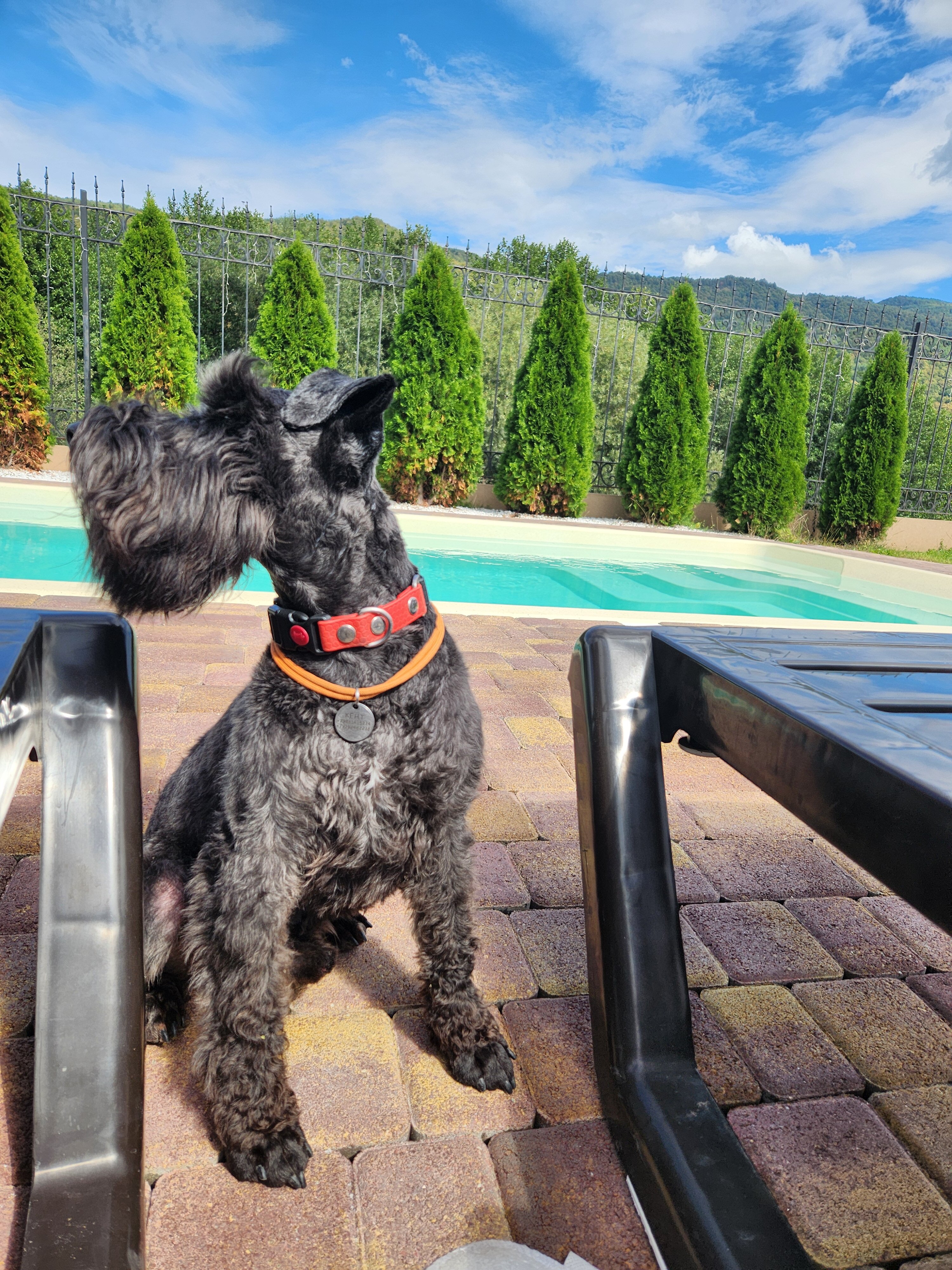 Фото АльтаРио