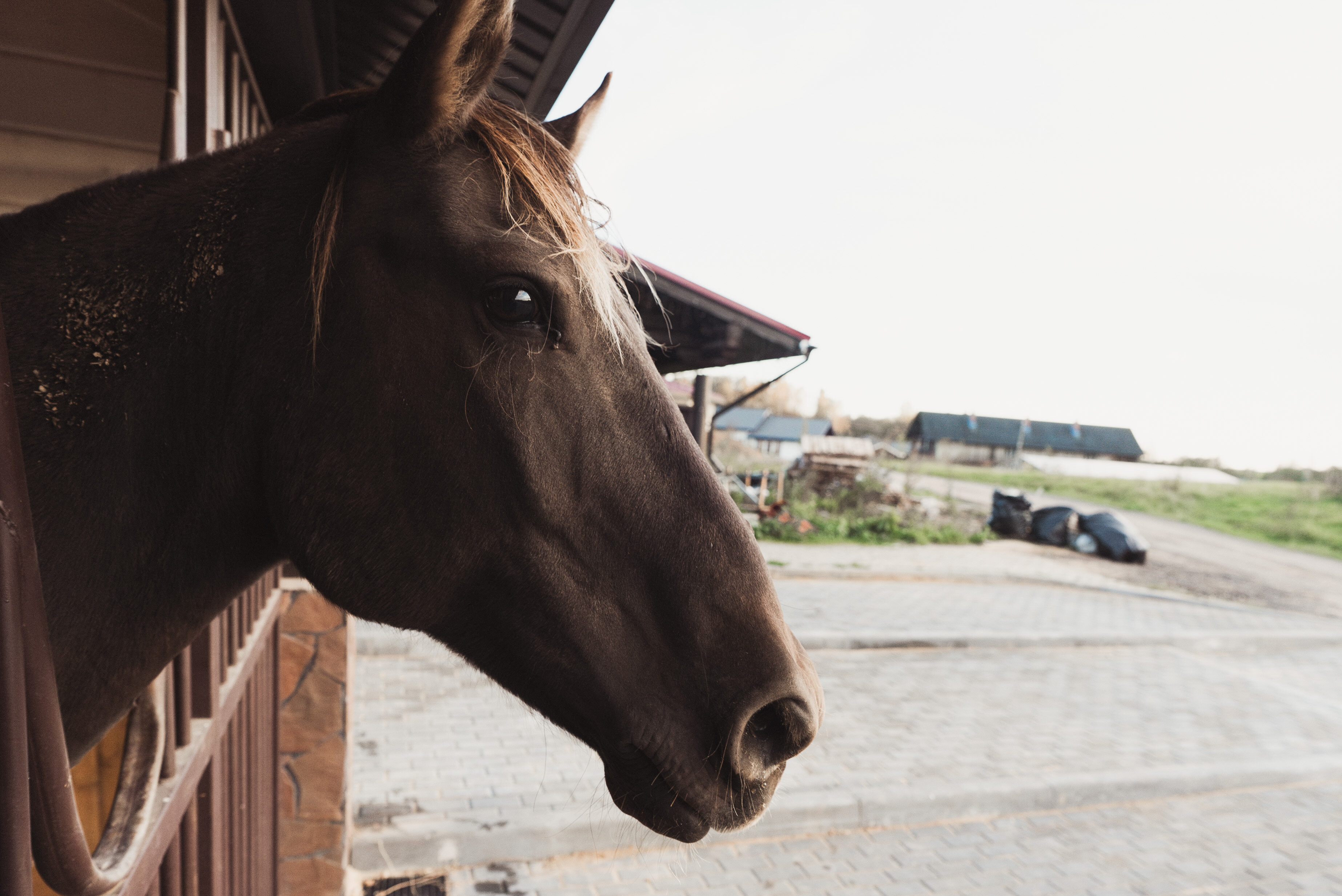 Фото Загородный клуб Ранчо.рф