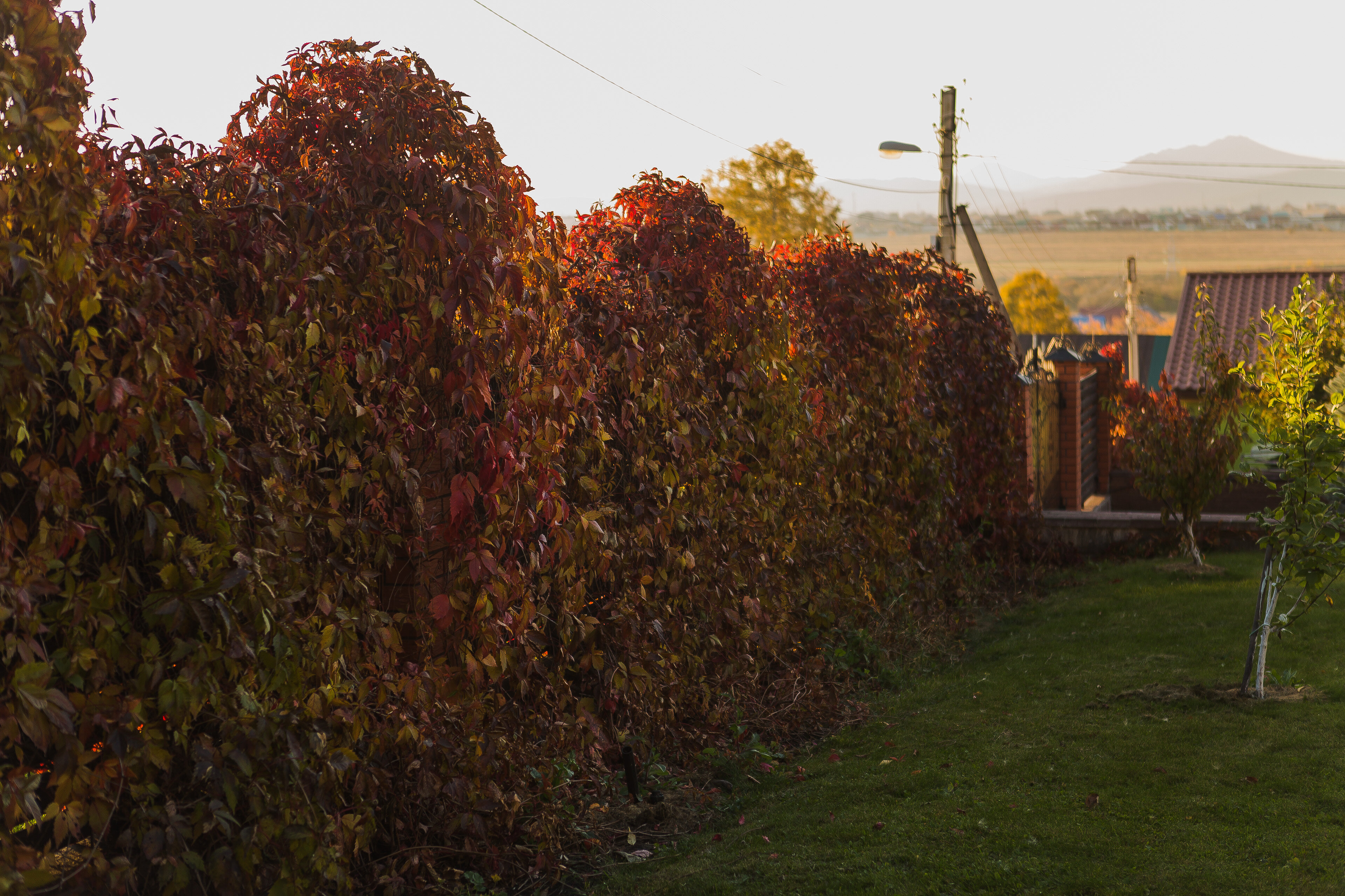 Фото Усадьба Аксакова