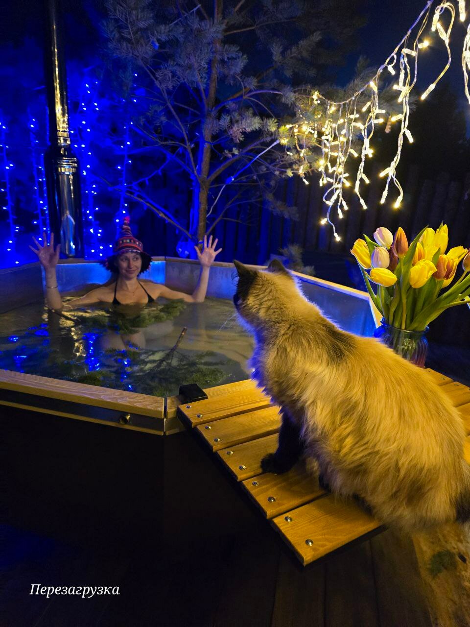 Фото Алтайский дом Перезагрузка