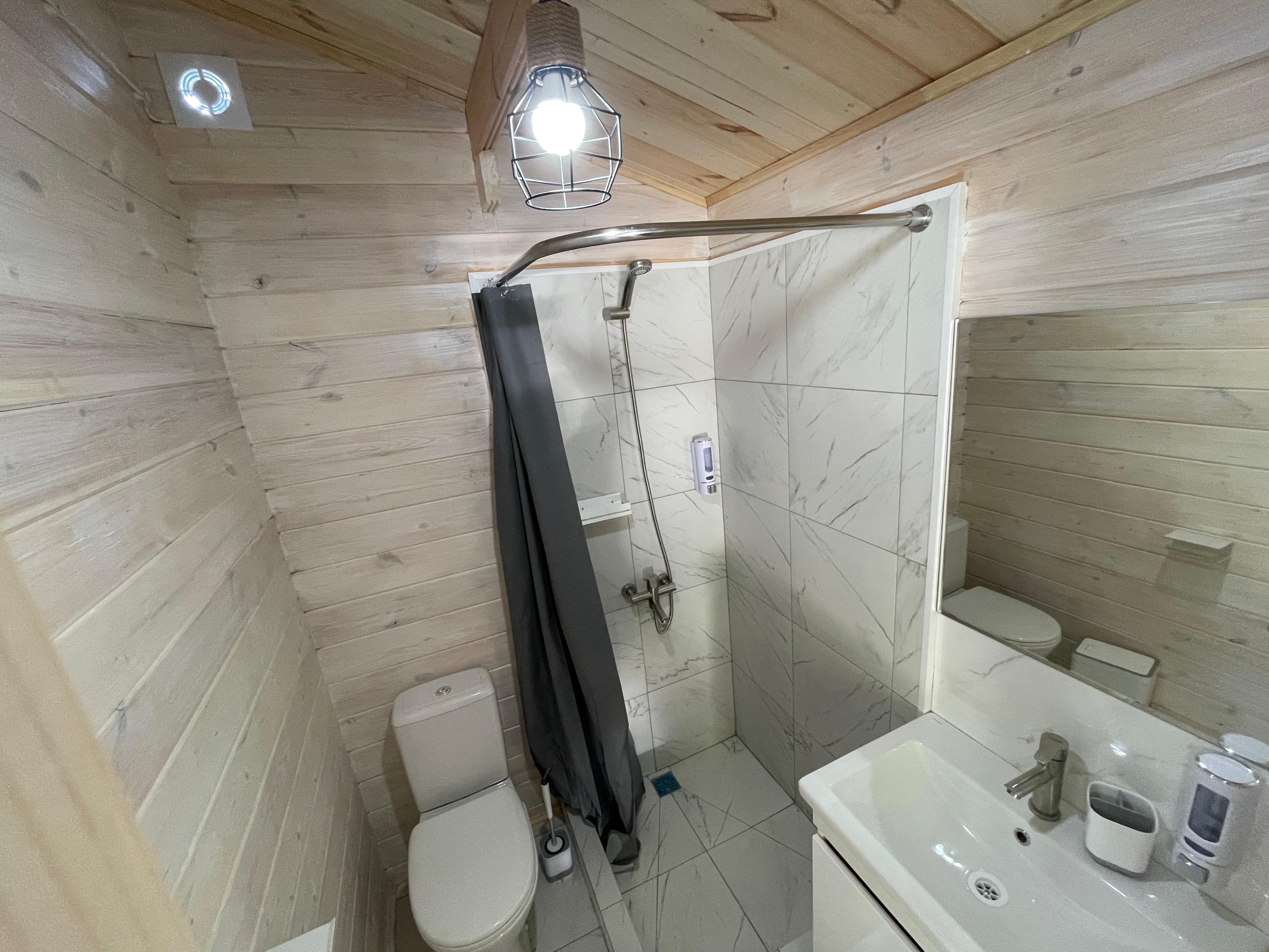 Фото Эвкалипт