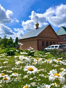 Vozdvizheniya Chestnogo Kresta Gospodnya V Davydovo Church (derevnya Davydovo, Sovetskaya Street, 48), orthodox church