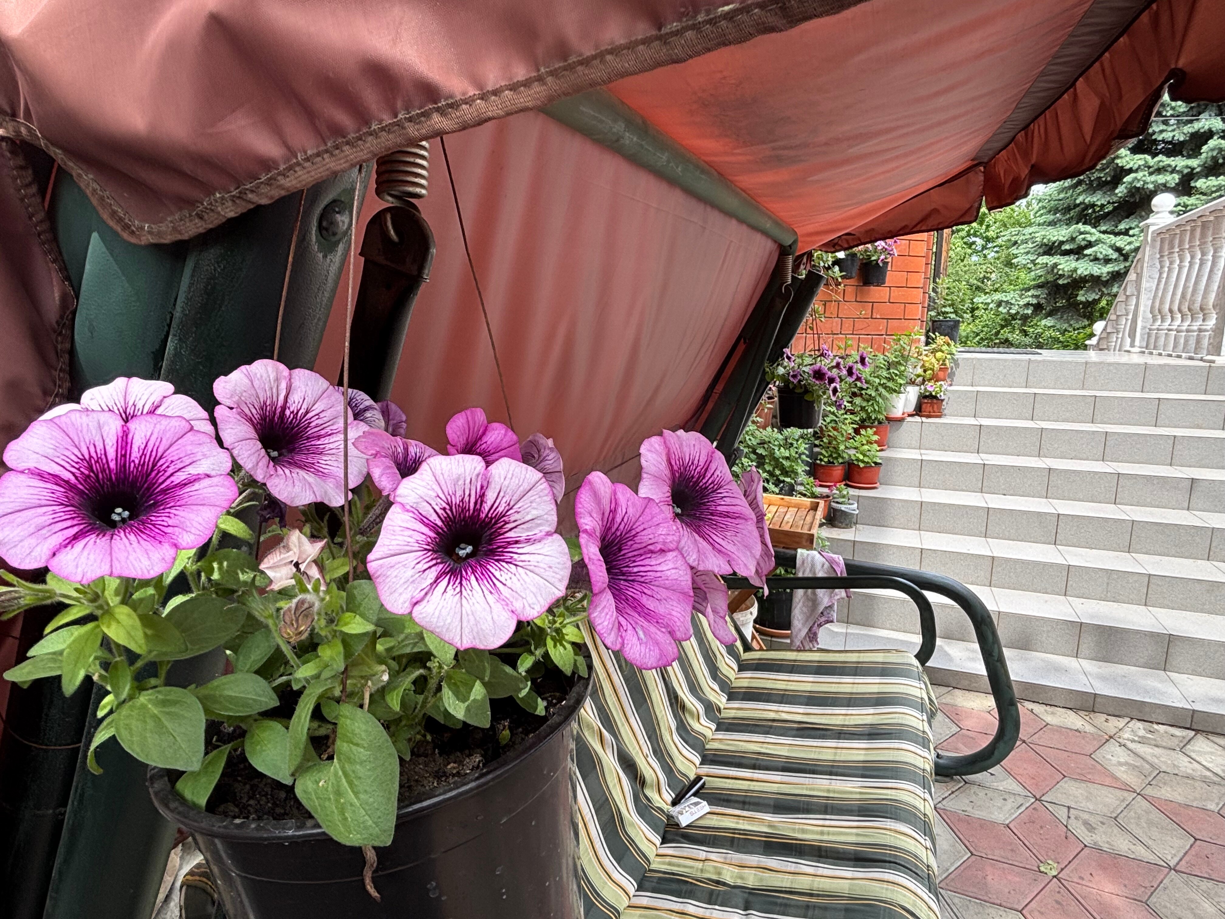 Фото Усадьба Новознаменская