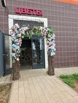 Цветы & Декор (Reutovskaya Street, 15) ، محل زهور