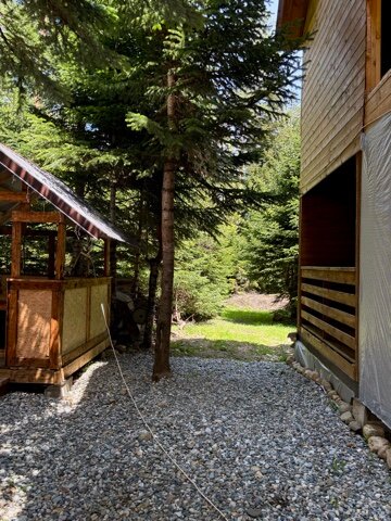 Фото Триумф