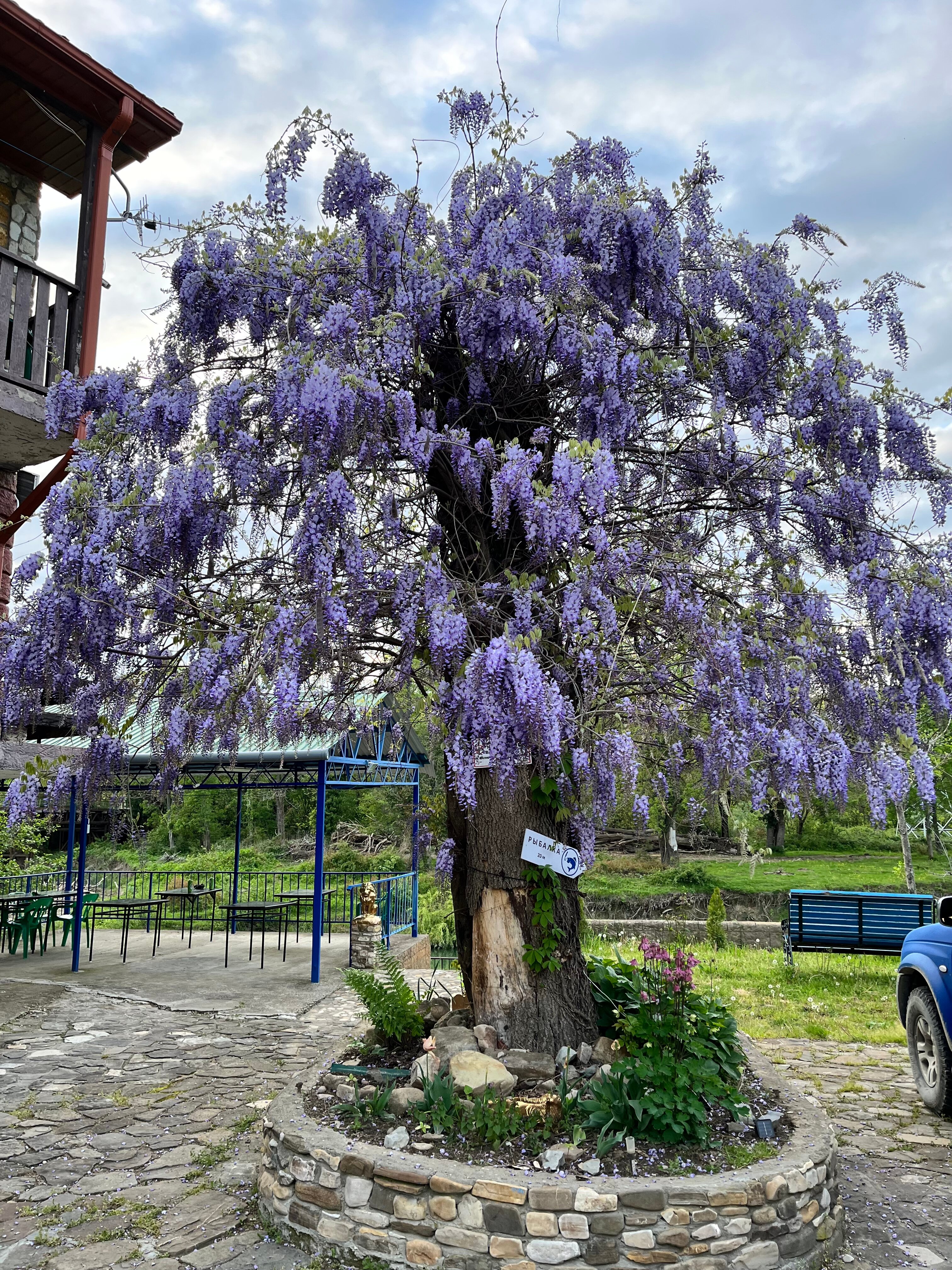 Фото Замок у реки