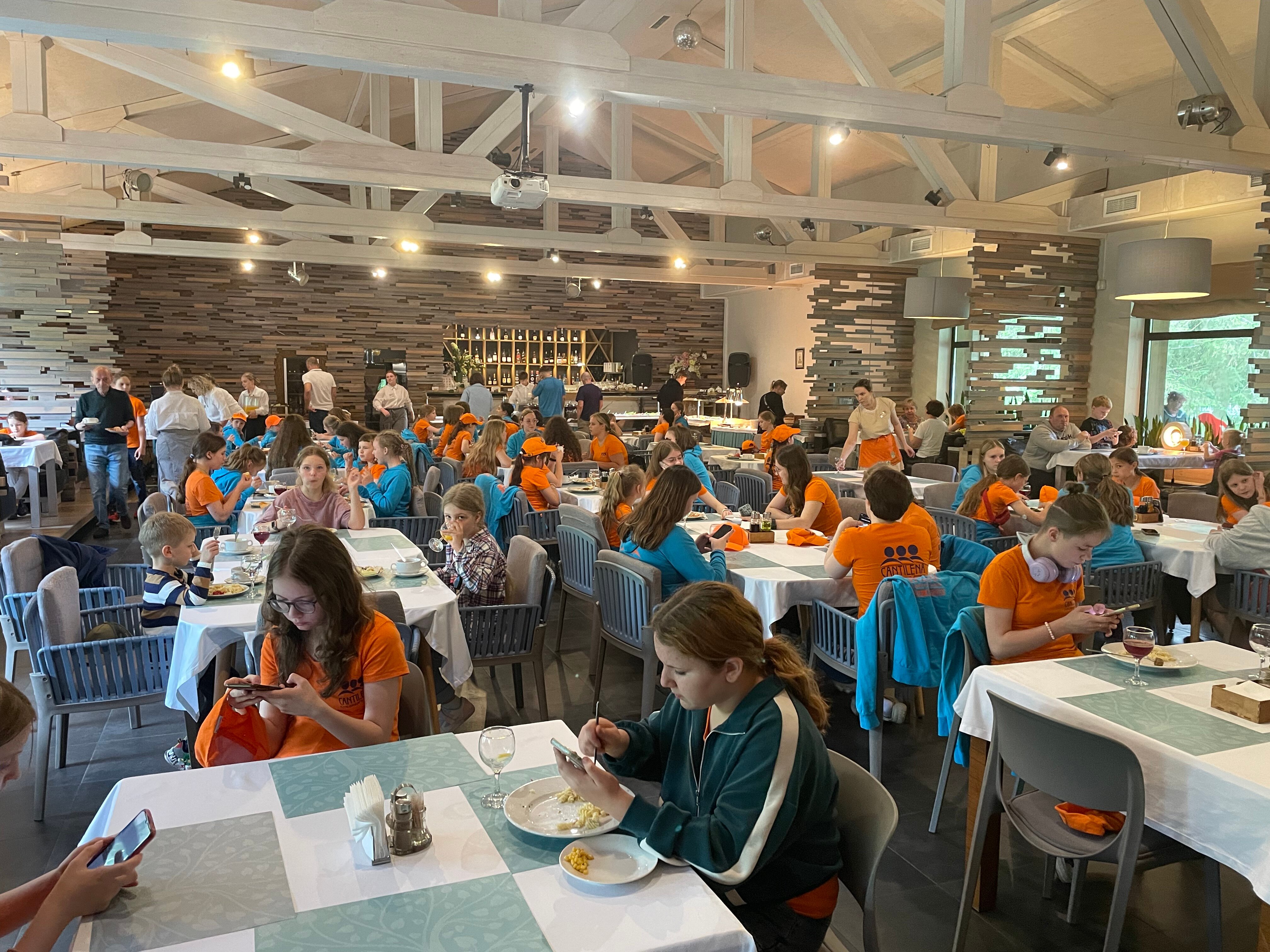 Фото Романов лес