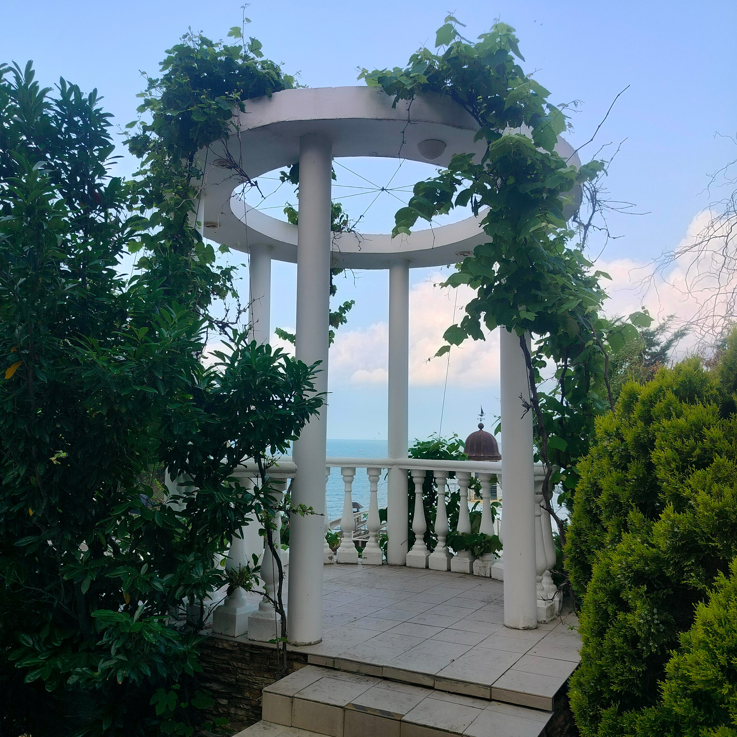 Фото Морской клуб