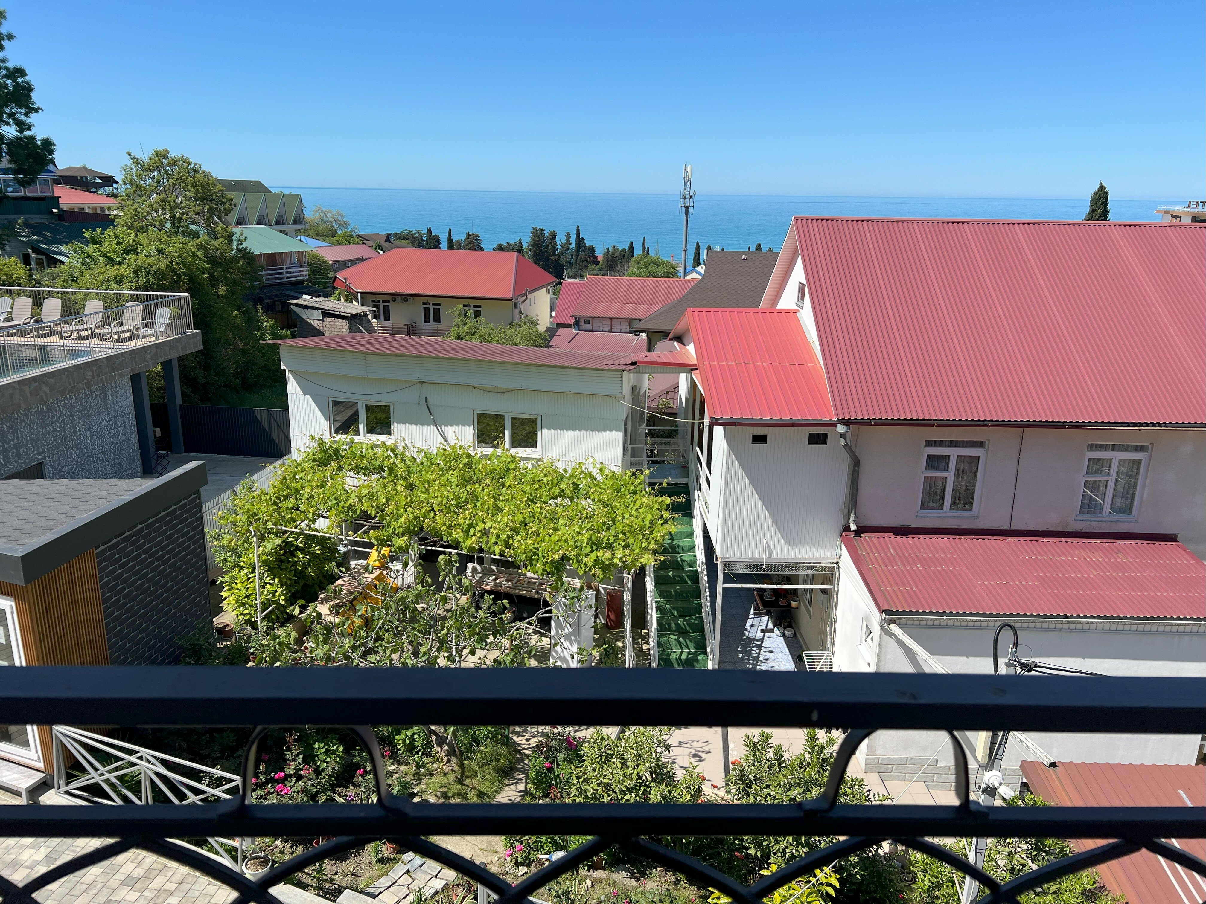 Фото Миндаль