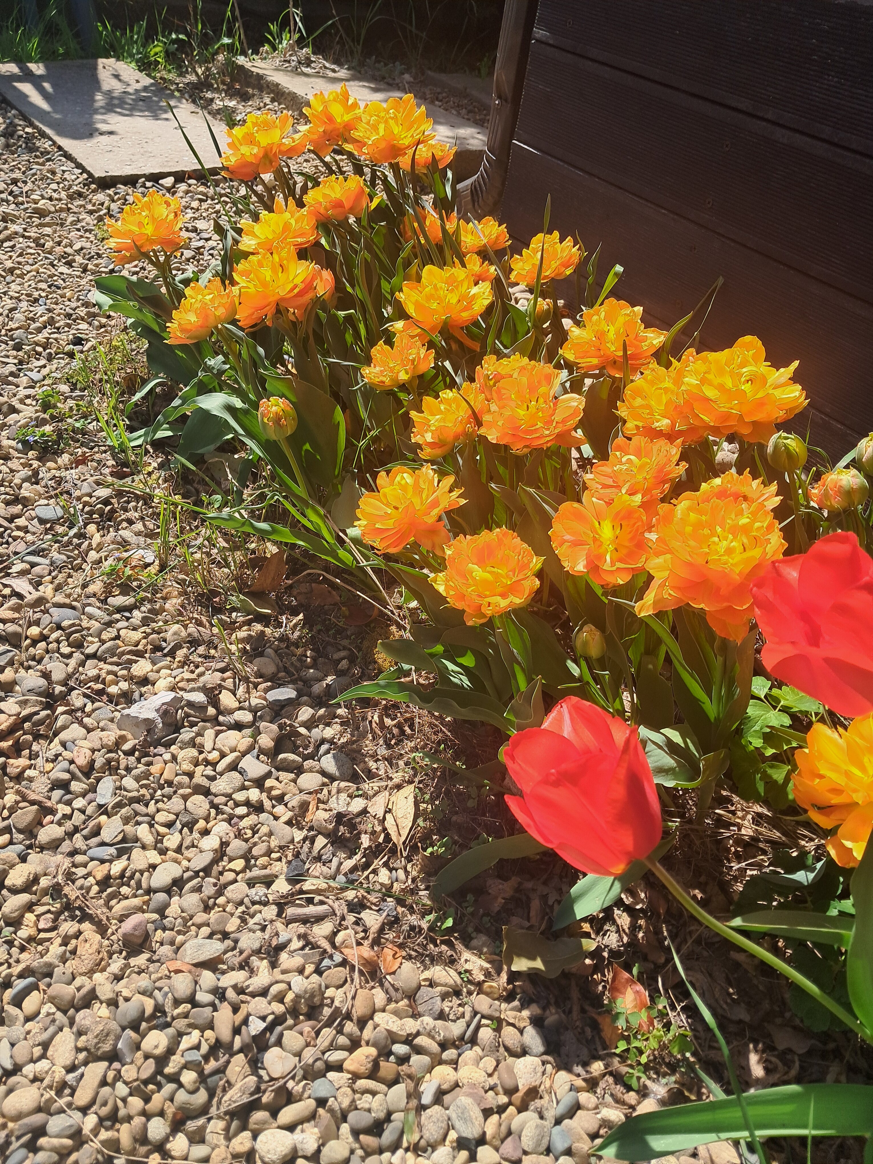 Фото Abrau Garden