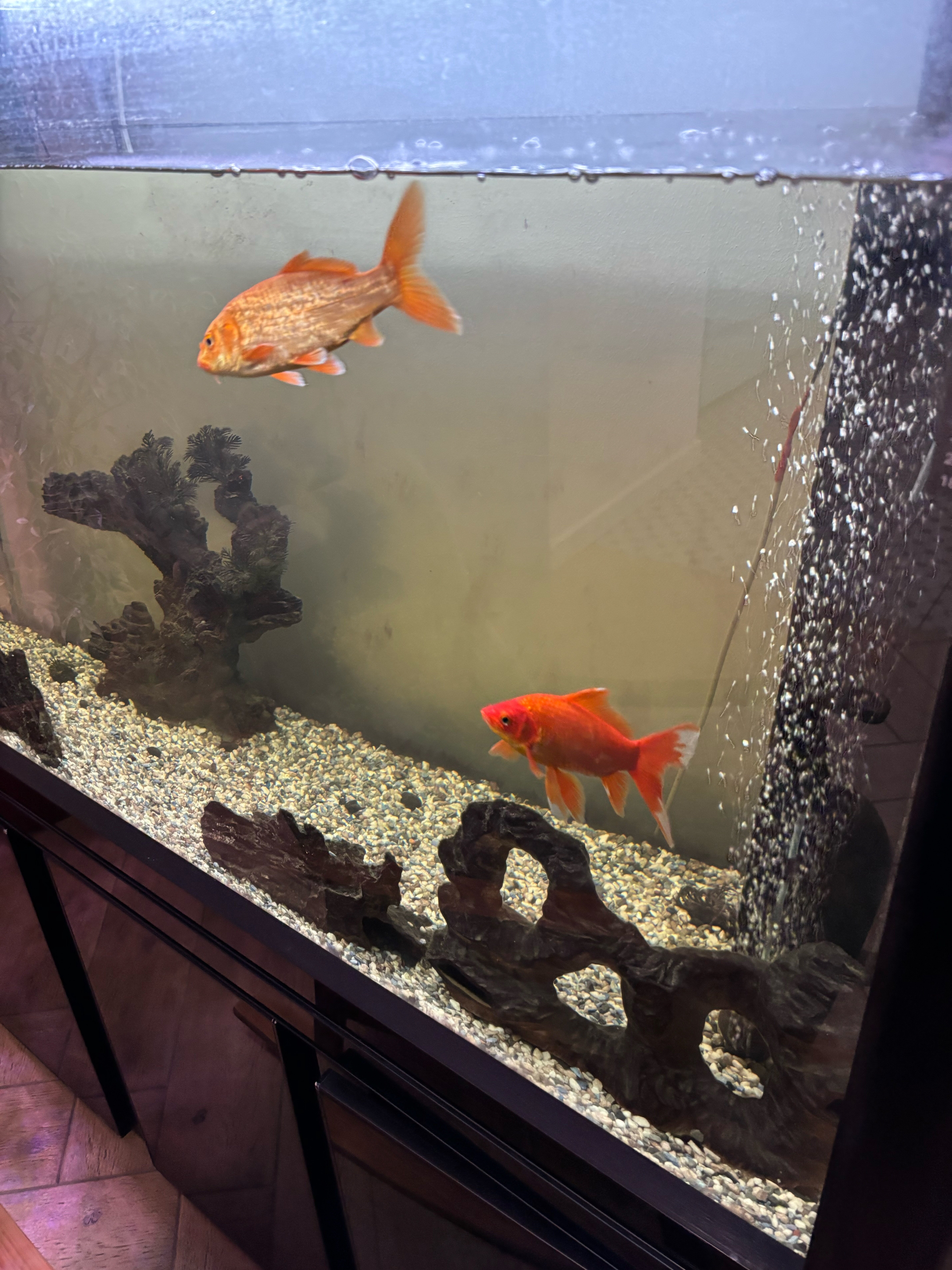 Фото Dublin City