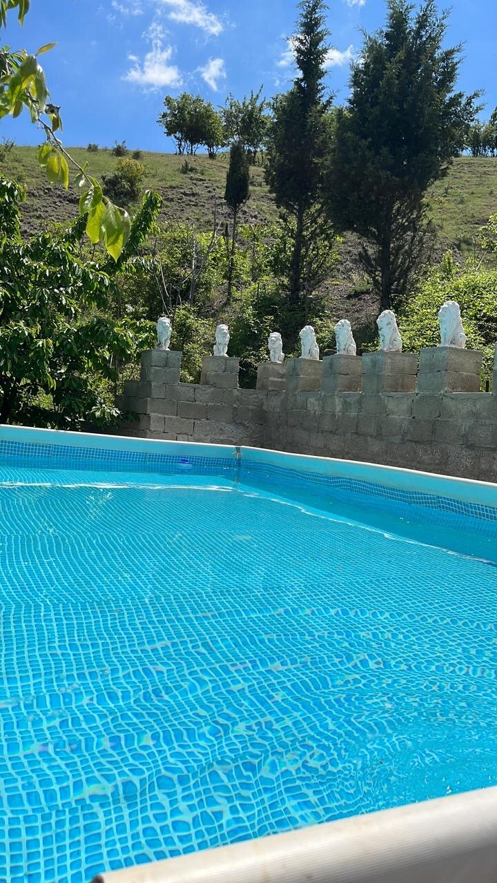 Фото Горная лаванда