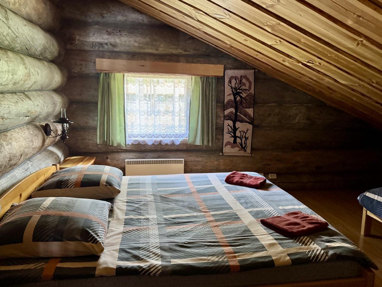 Фото Медвежка в Карелии