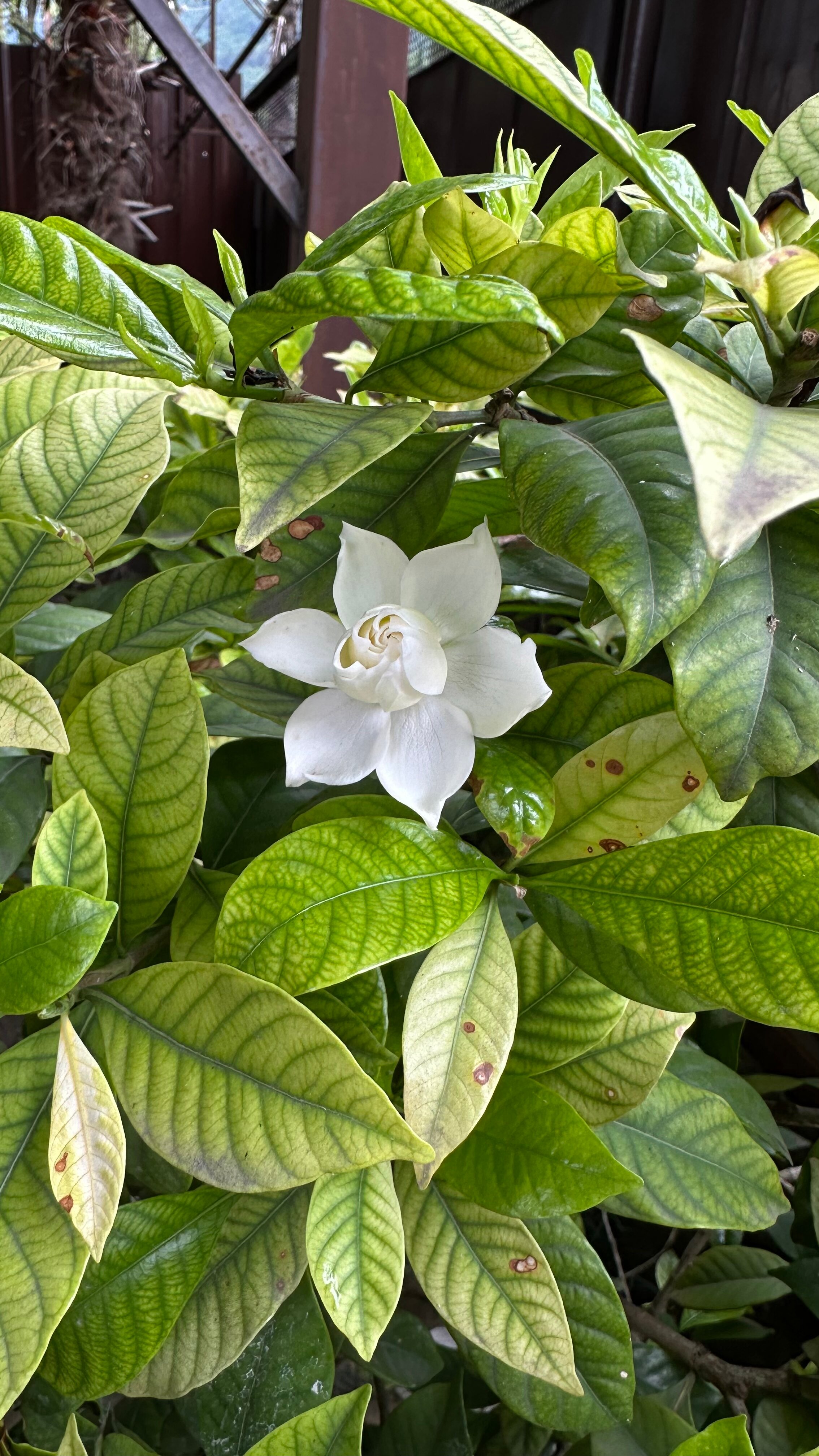 Фото Светлана