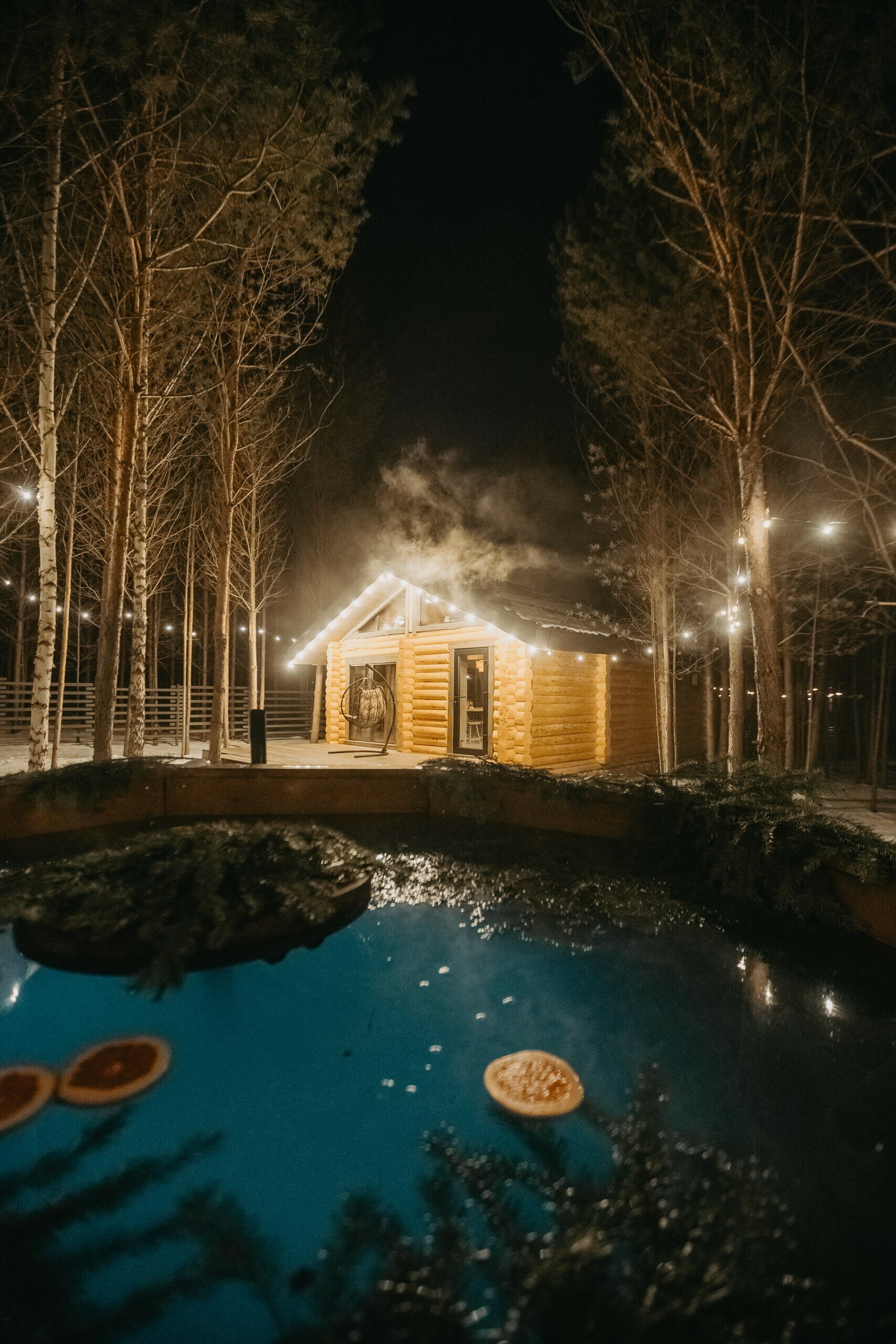 Фото Место под соснами