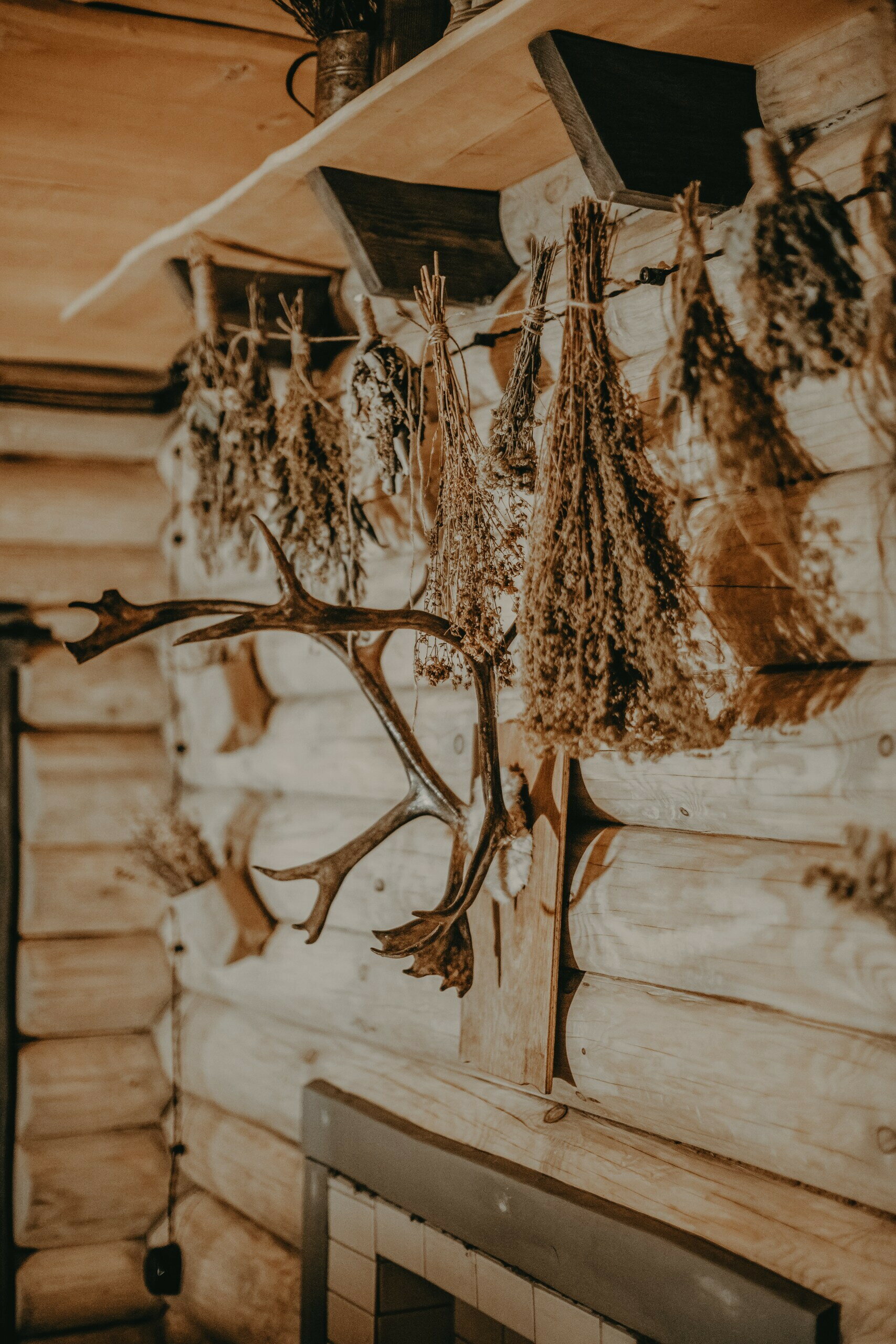 Фото Место под соснами