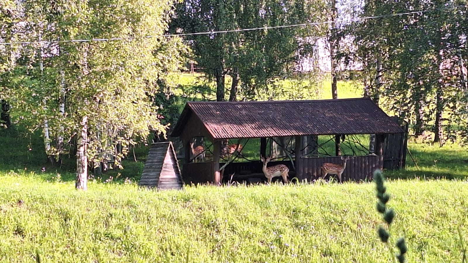 Фото Елисеевы поля