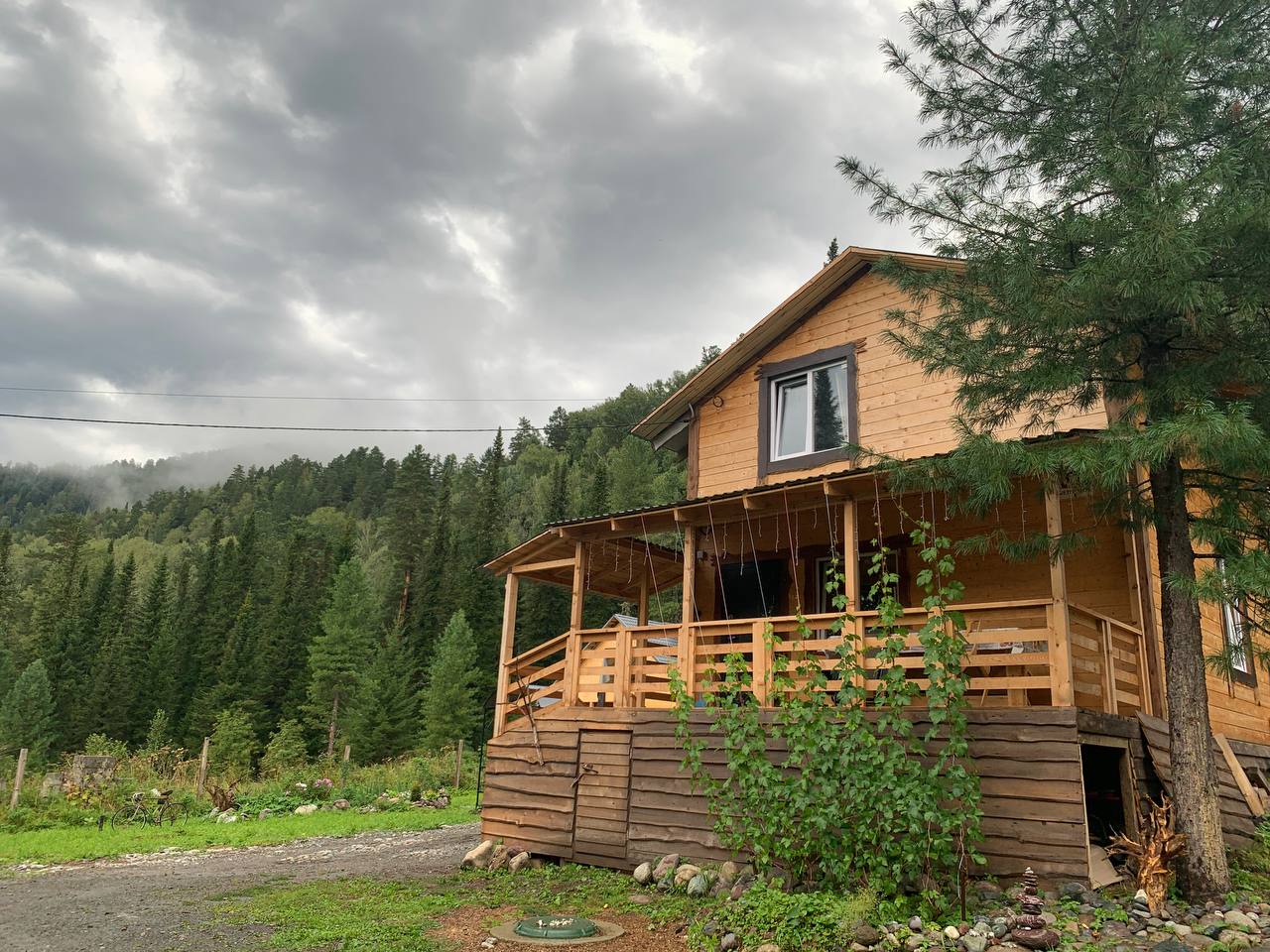 Фото У Петровича