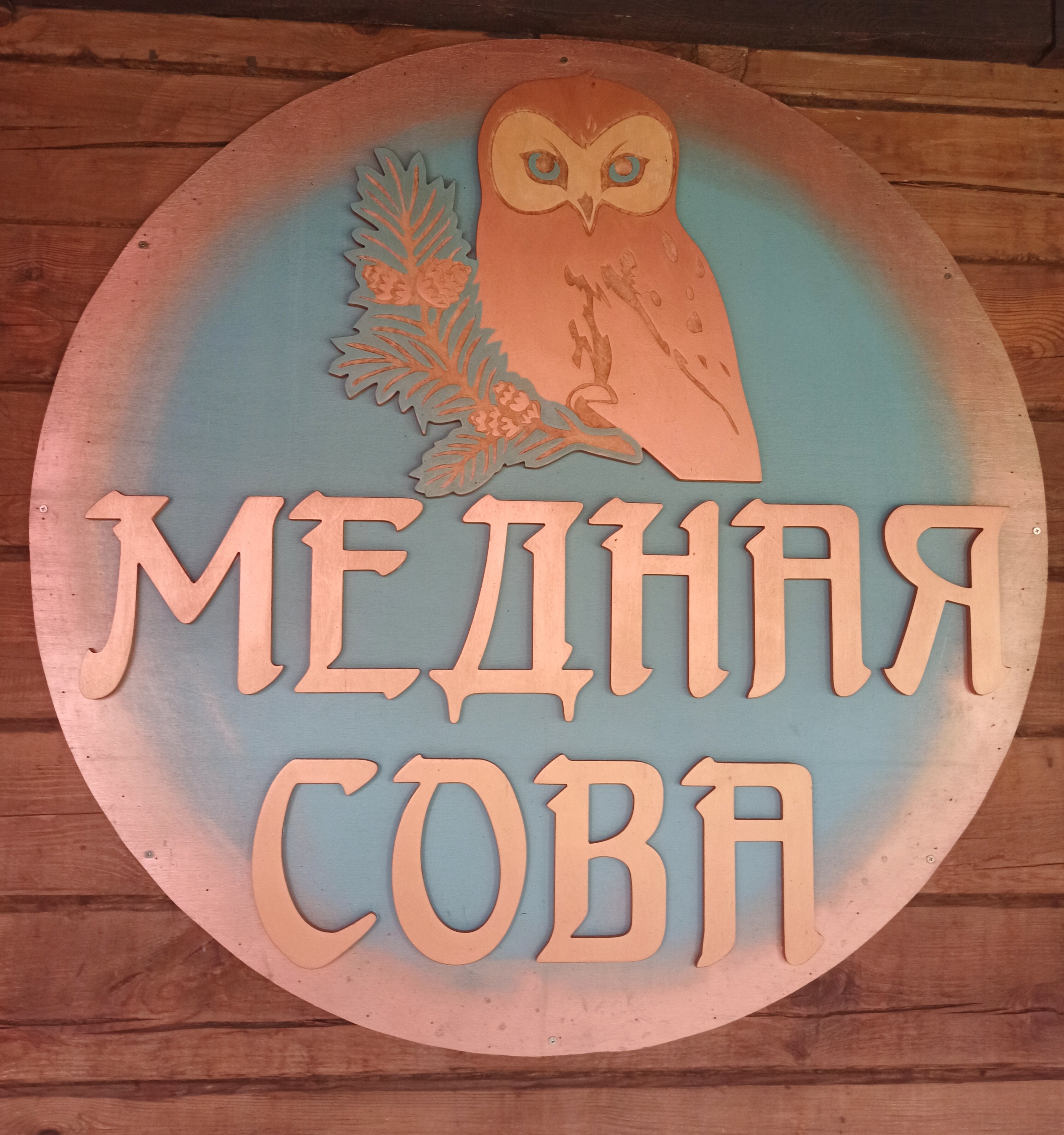 Фото Медная Сова