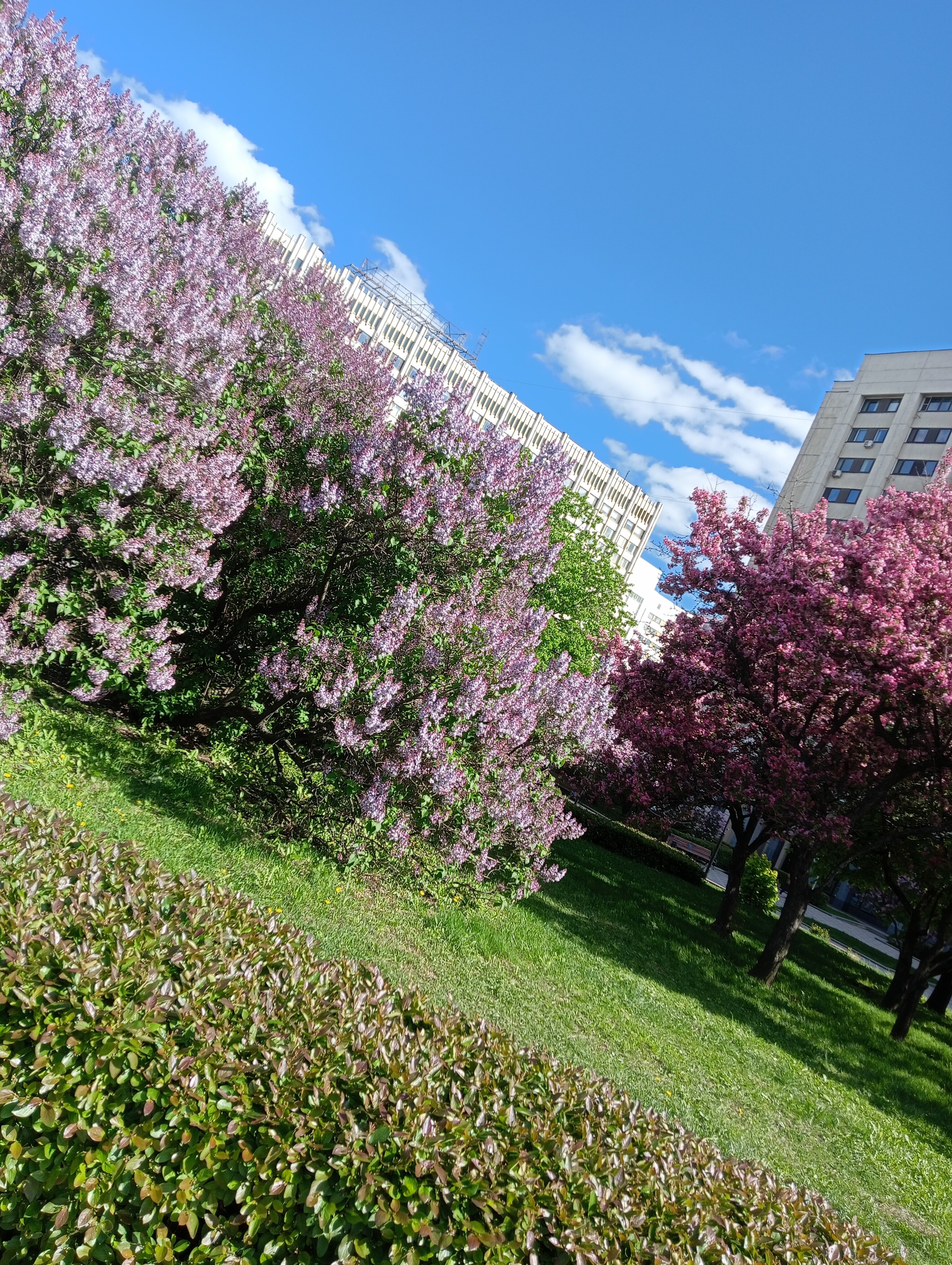 Фото Академическая