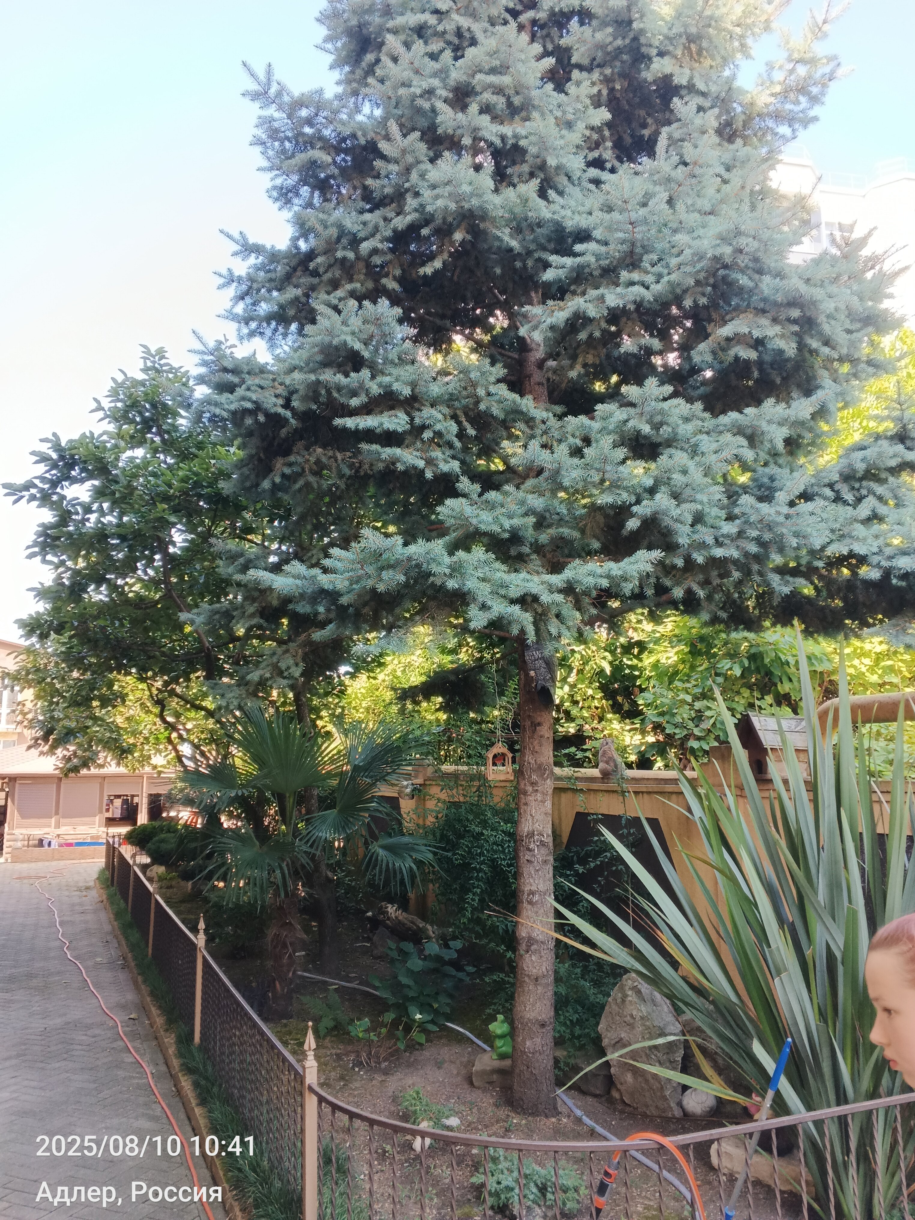 Фото Ключевой 9