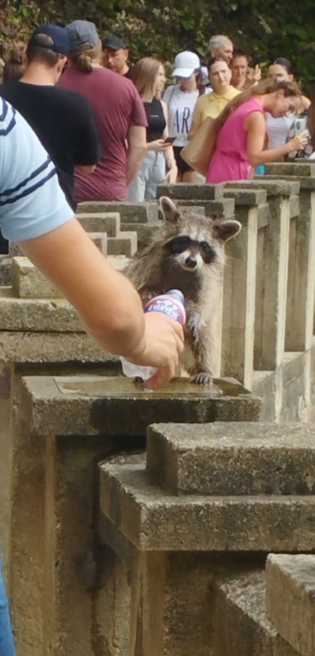 Фото Водопад