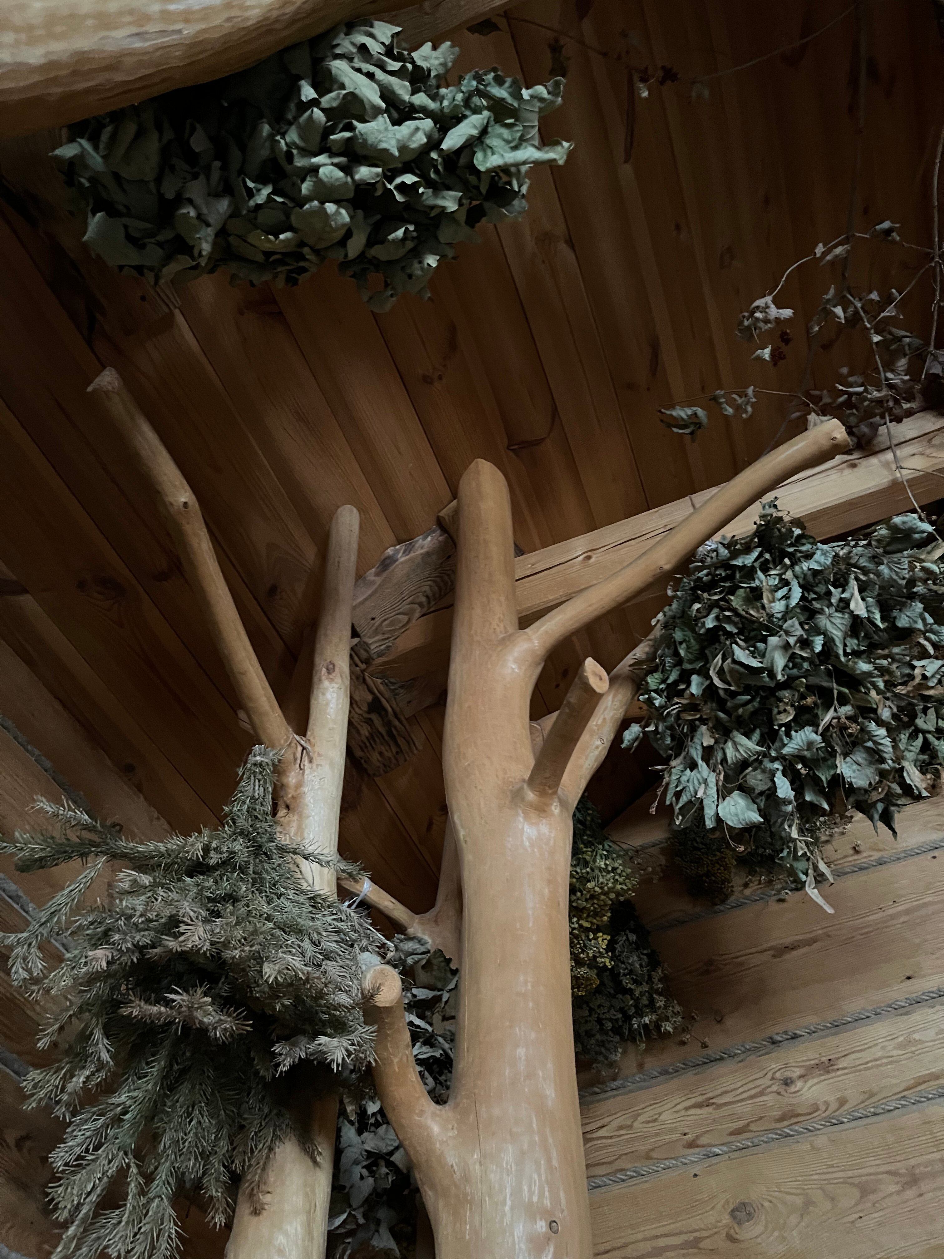 Фото Колодворье