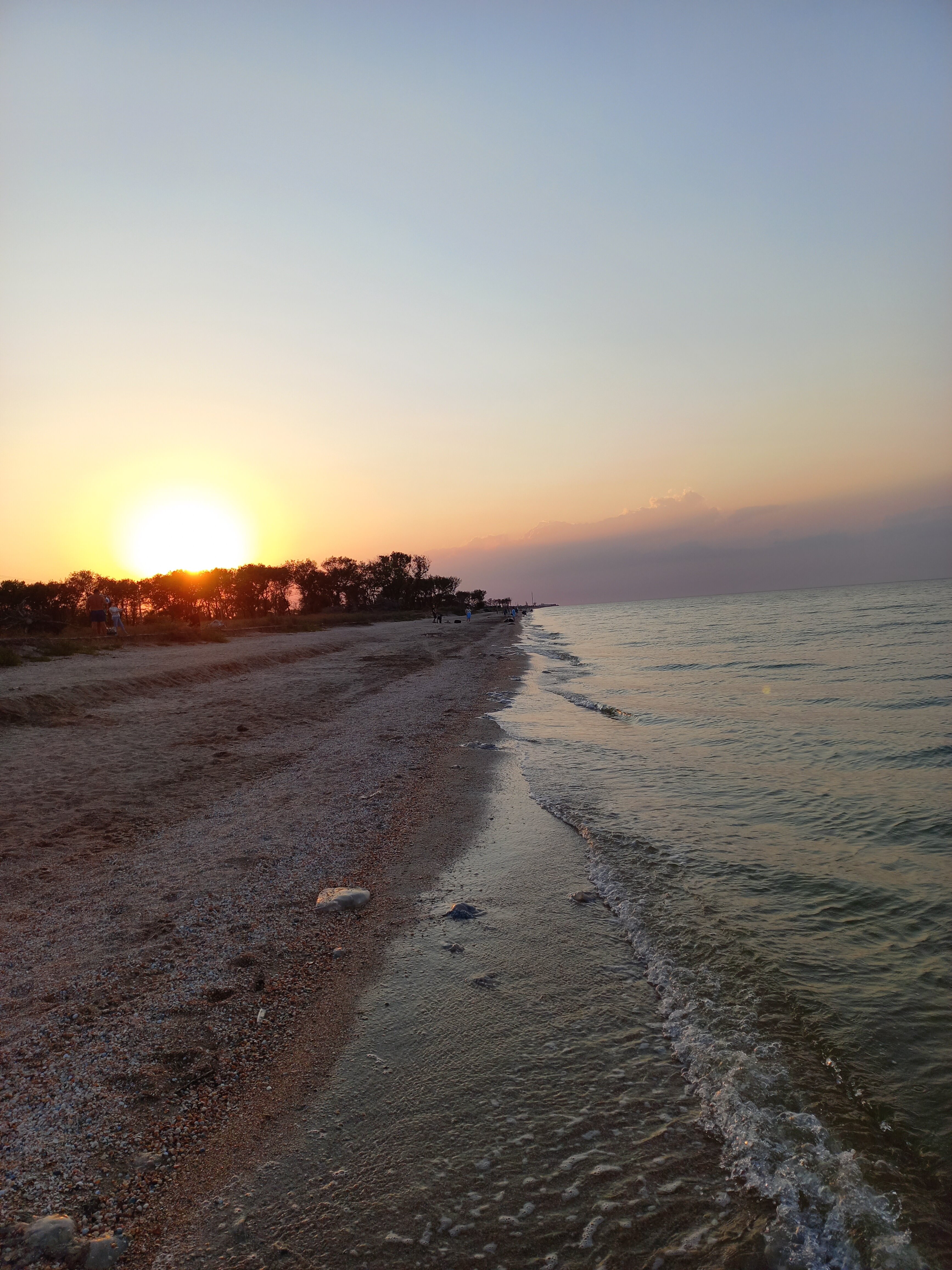 Фото Лаванда