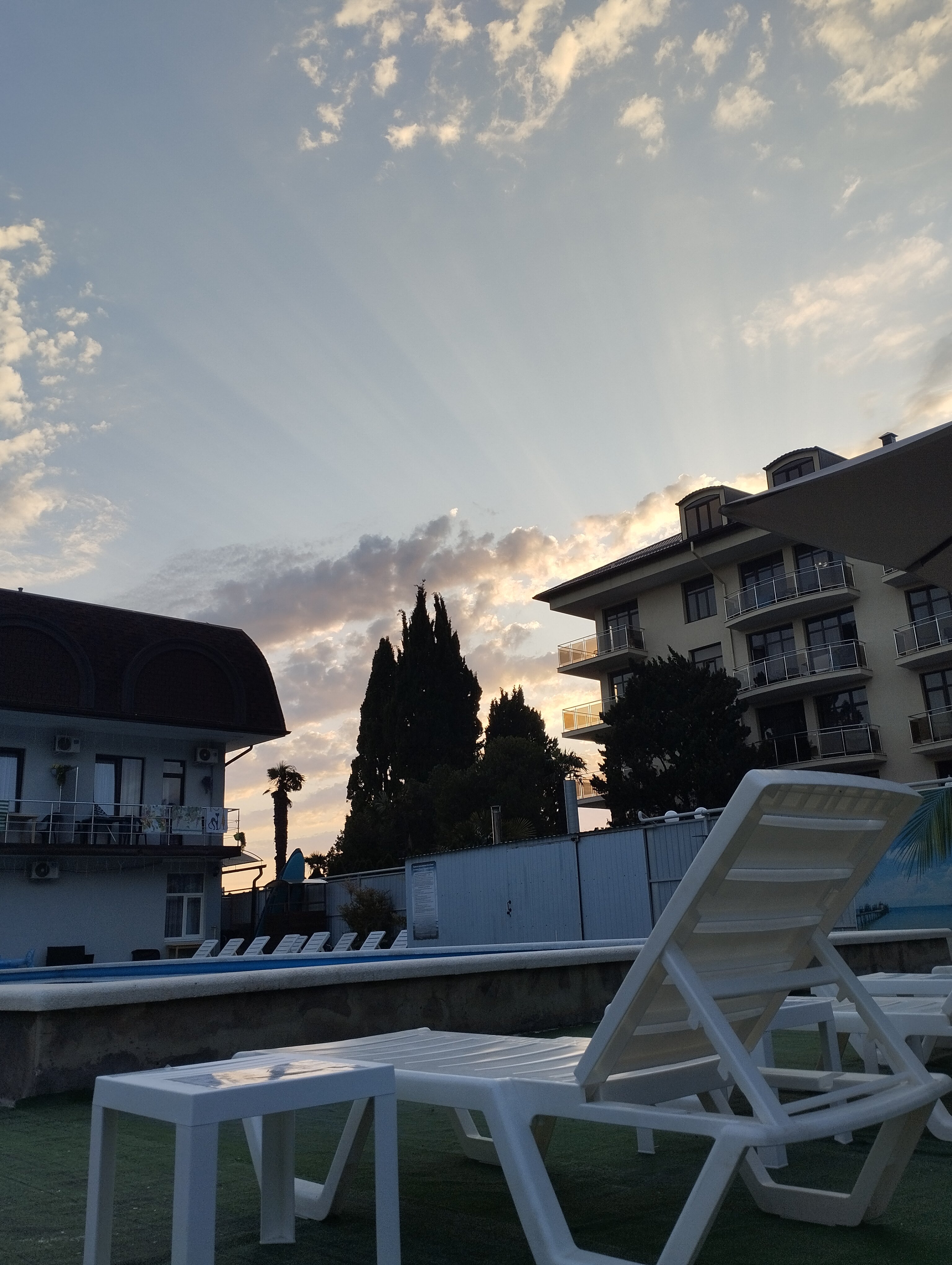 Фото Крылья