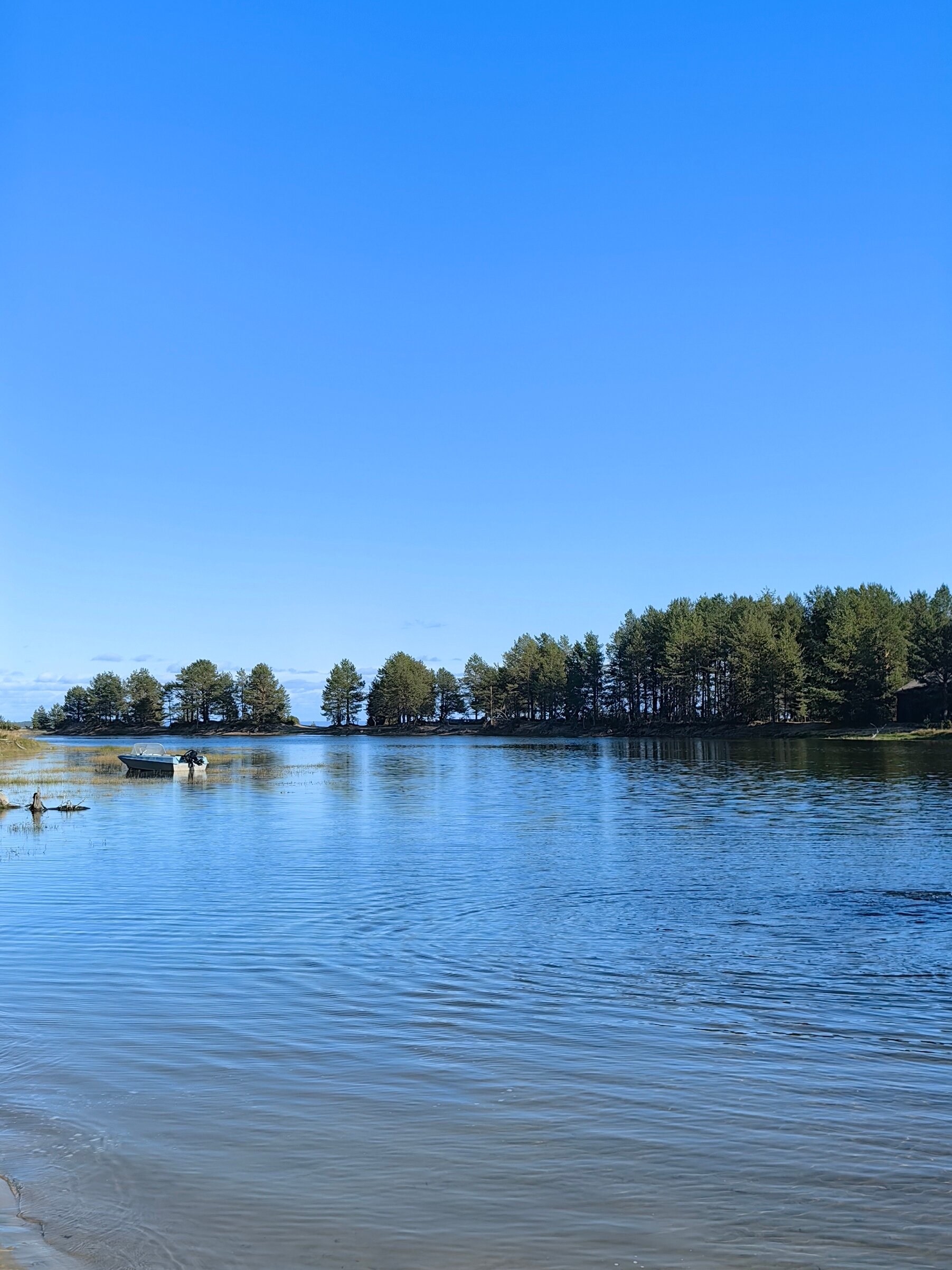 Фото Белый кит