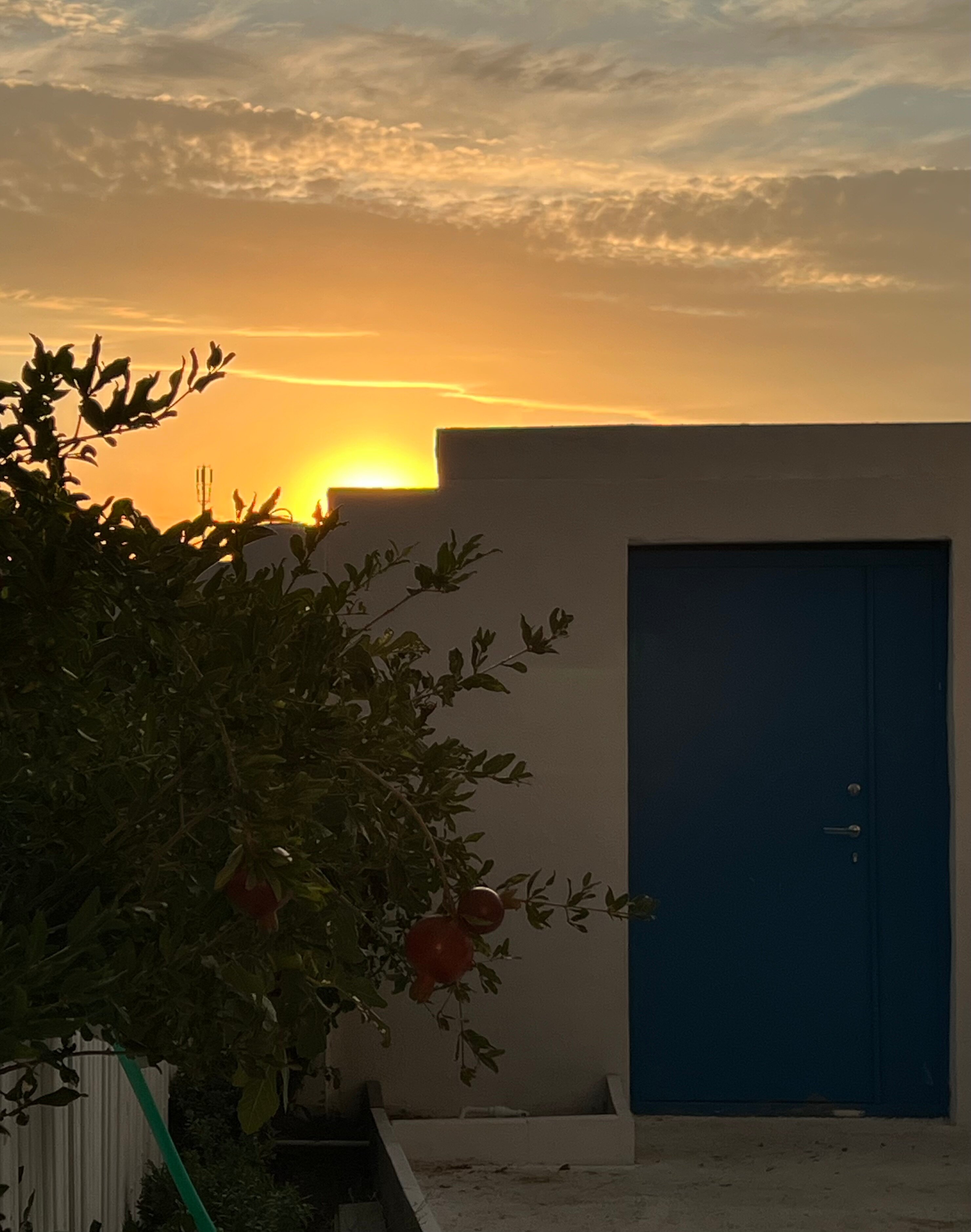 Фото Pars Fortuny